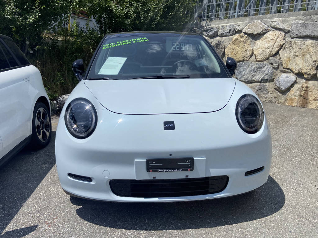 JAC E30X Electric-image-13