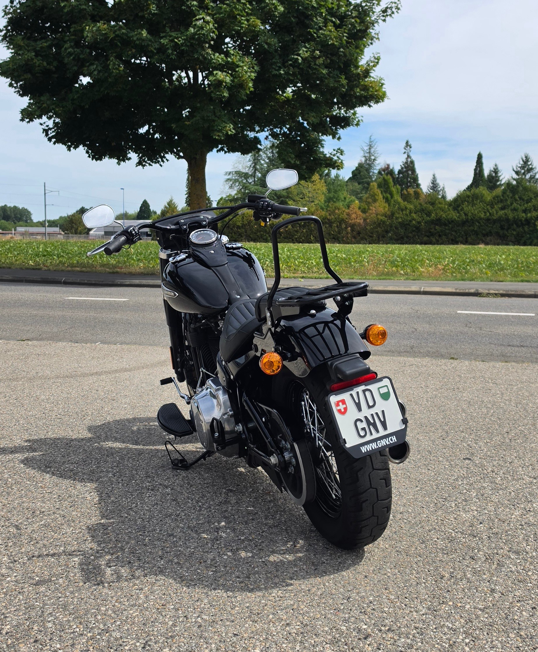 HARLEY-DAVIDSON FLSL Softail Slim 107 ABS-showroom-element-2