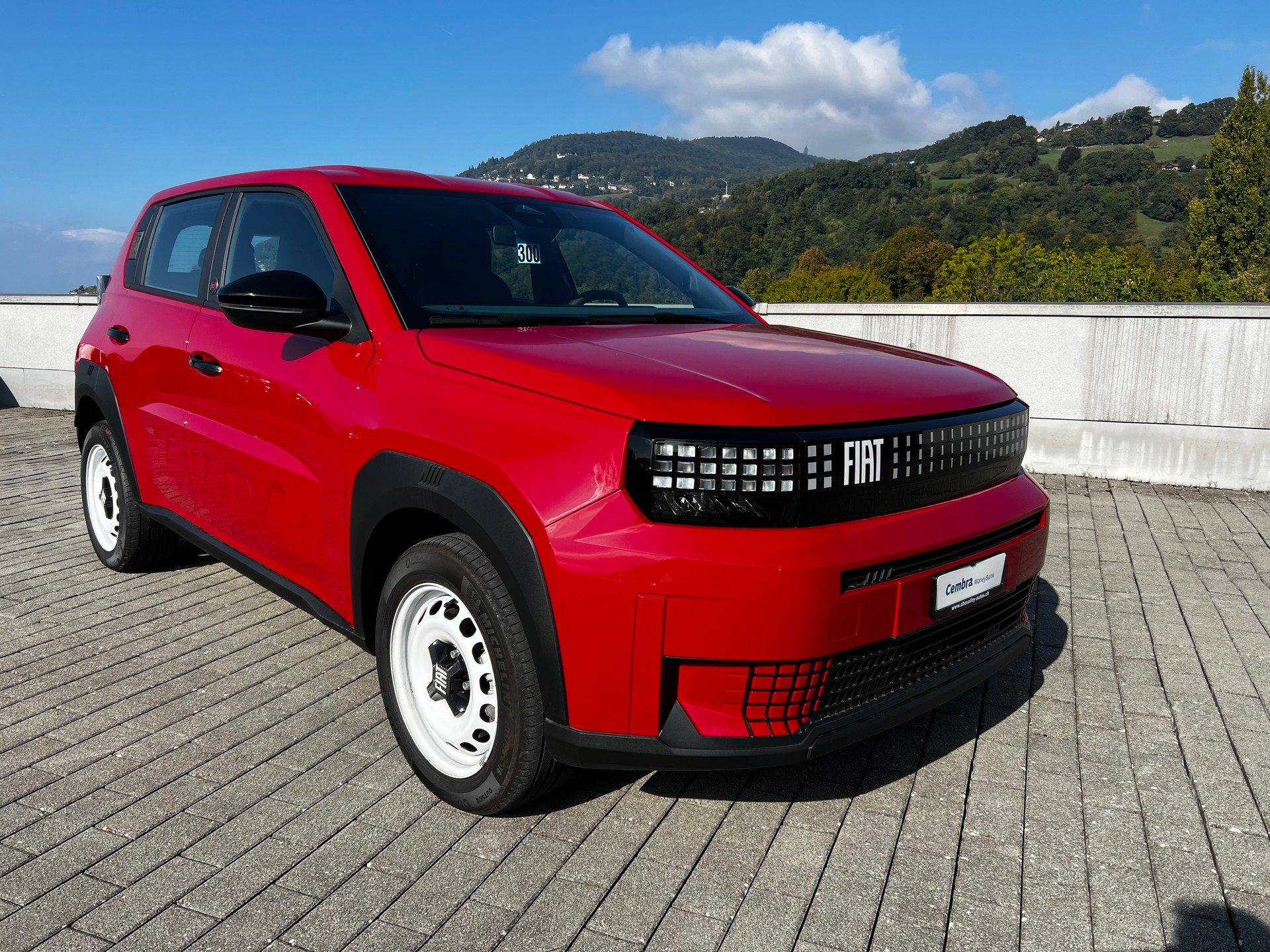 FIAT Grande Panda El. Red-image-0
