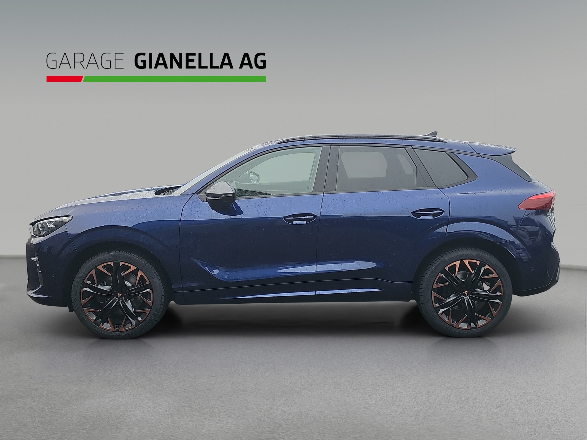 CUPRA Terramar 2.0 TSI DSG 4Drive VZ-image-1