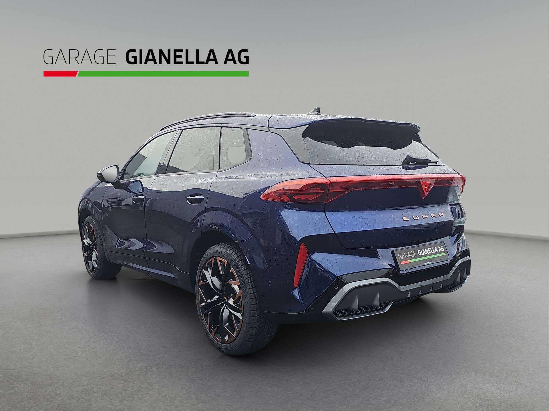CUPRA Terramar 2.0 TSI DSG 4Drive VZ-image-2