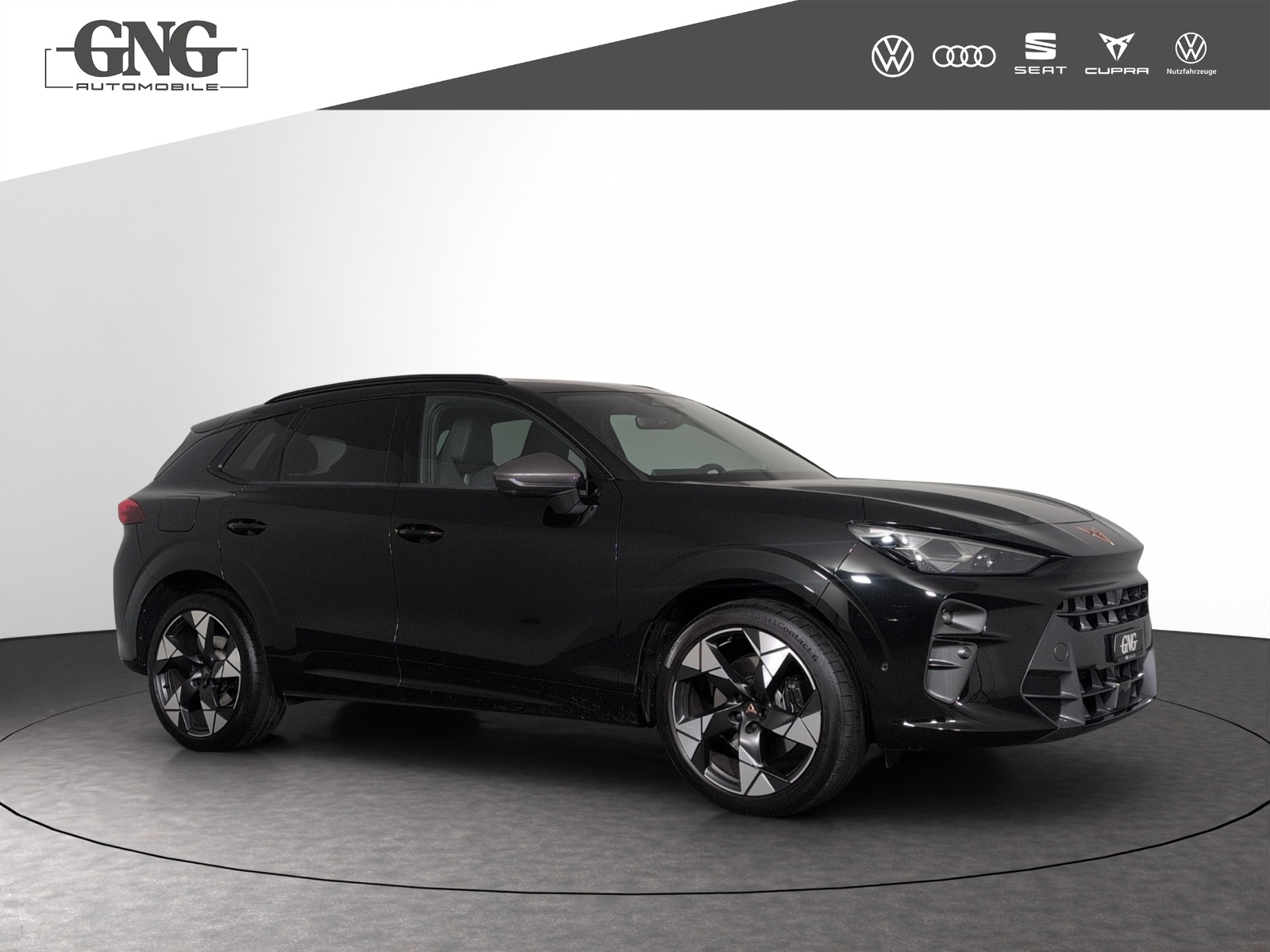 CUPRA Terramar 2.0 TSI DSG 4Drive VZ-image-3