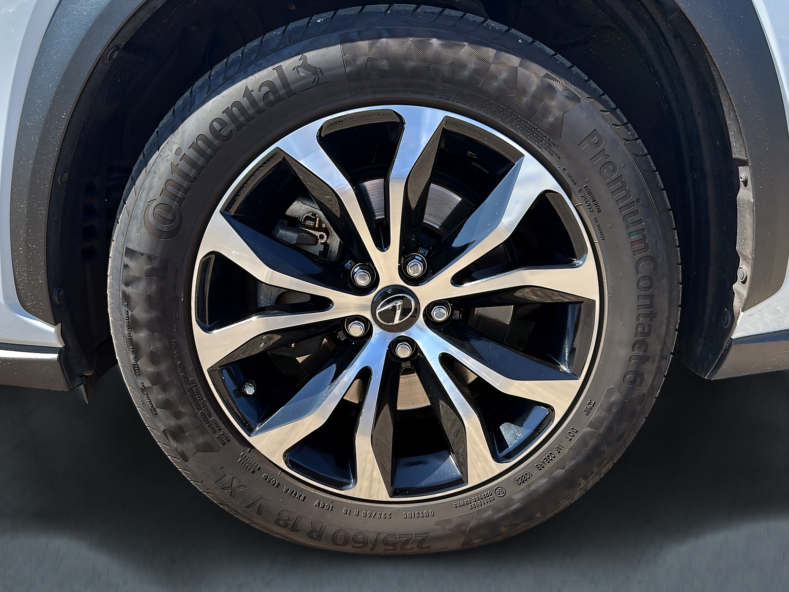 LEXUS NX 300h F-Sport E-Four Automatic-image-13