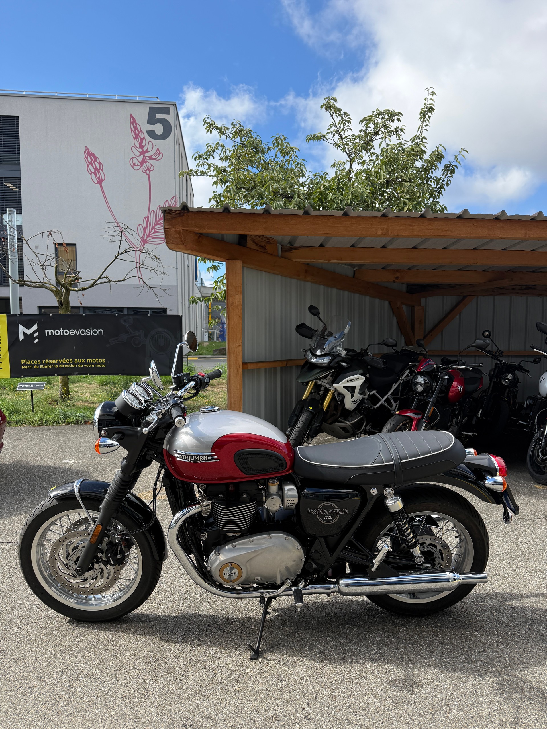 TRIUMPH T120-showroom-element-1
