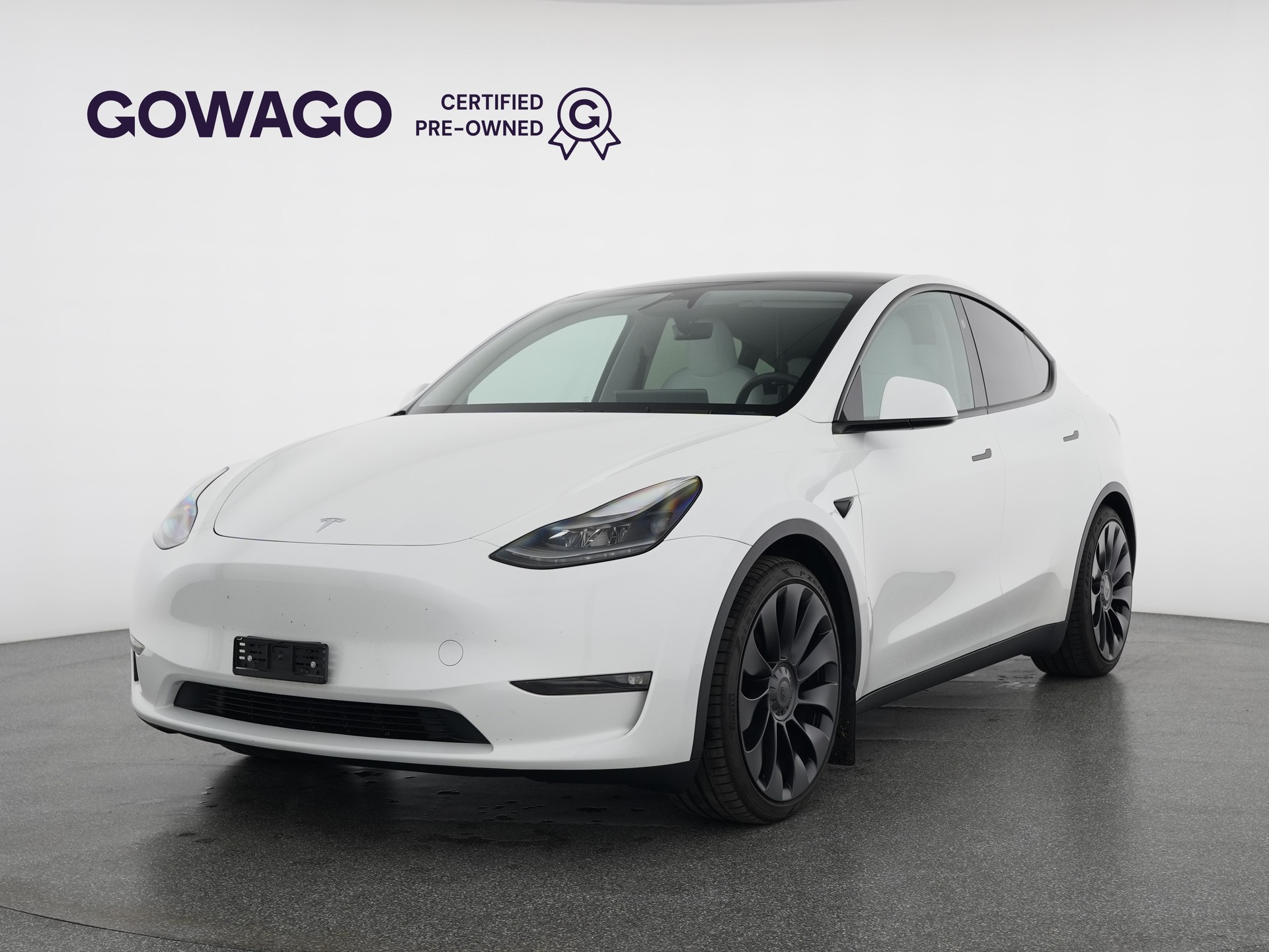 TESLA Model Y Performance-image-0