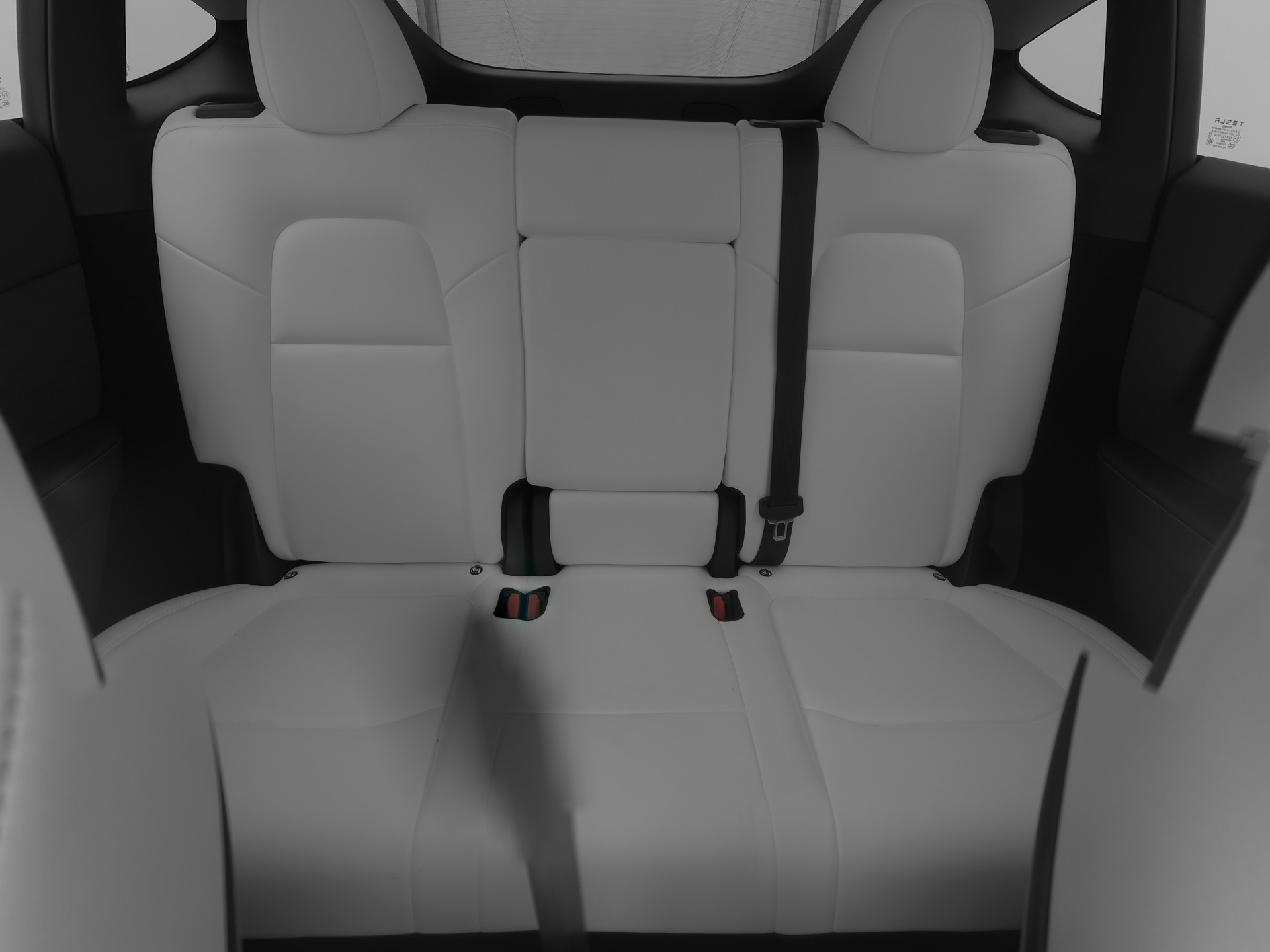 TESLA Model Y Performance-image-10