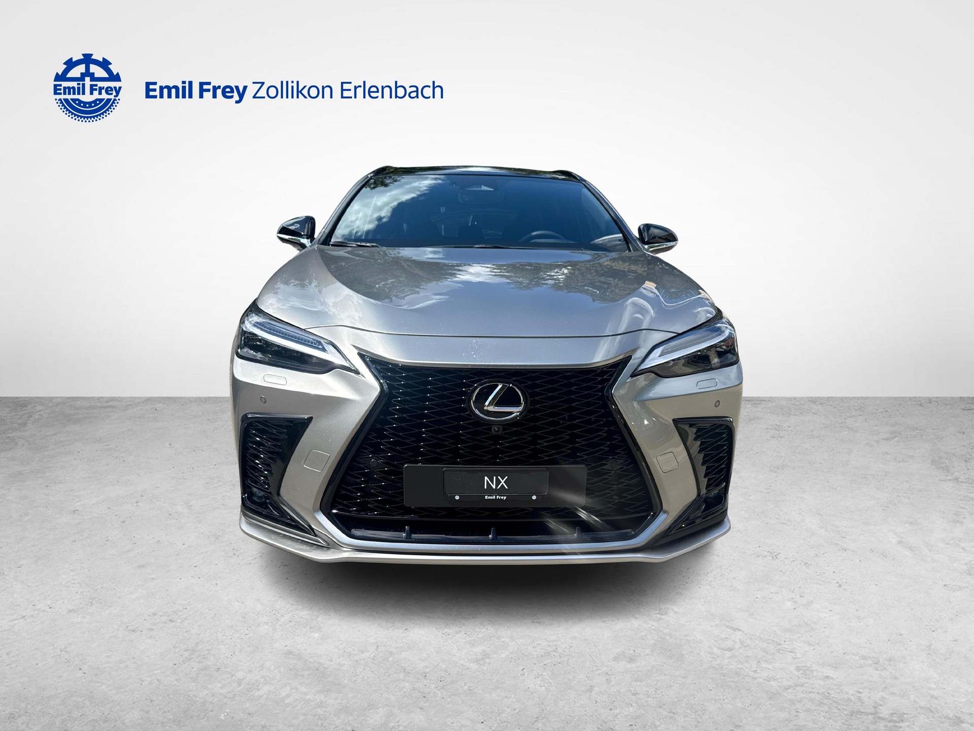 LEXUS NX 450h+ F-Sport-image-7