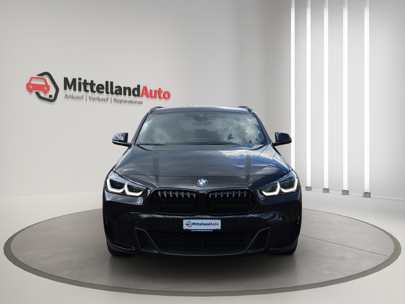 BMW X2 xDrive 25e M Sport Steptronic-showroom-element-1