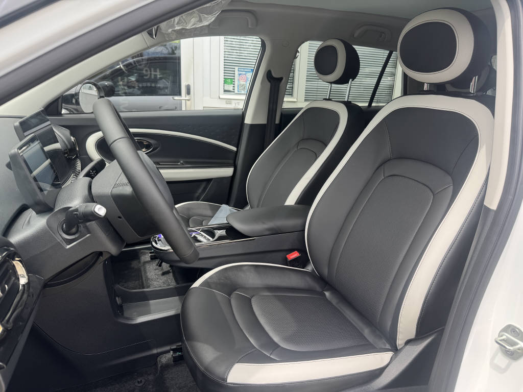 JAC E30X Electric-image-11