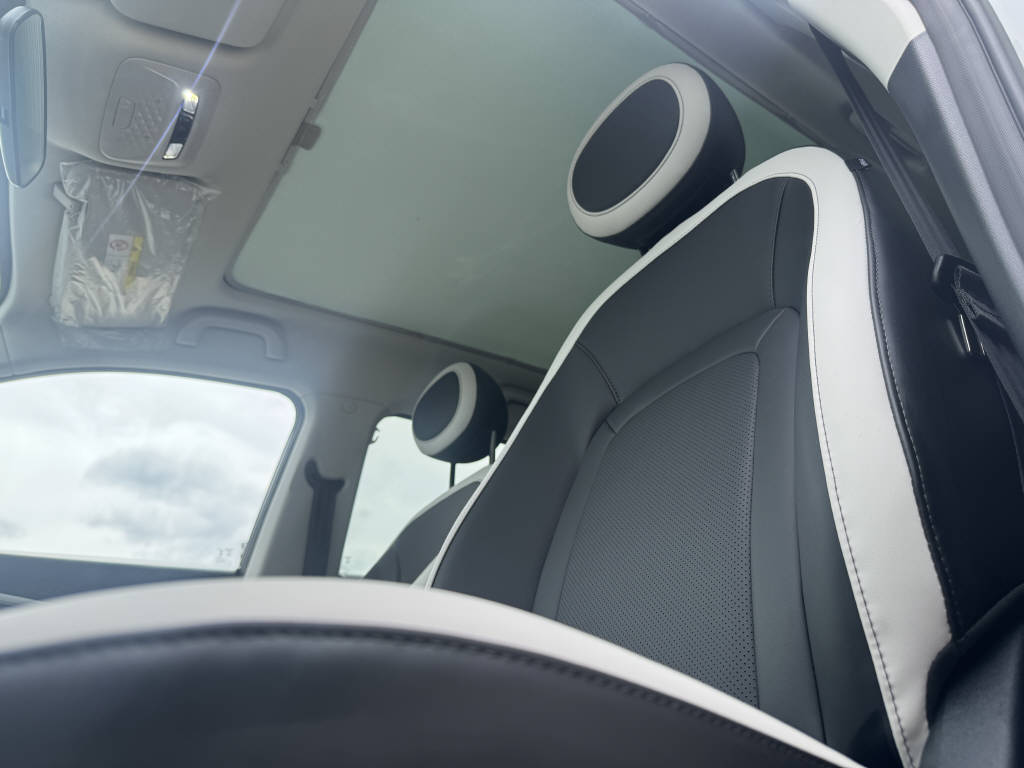 JAC E30X Electric-image-12