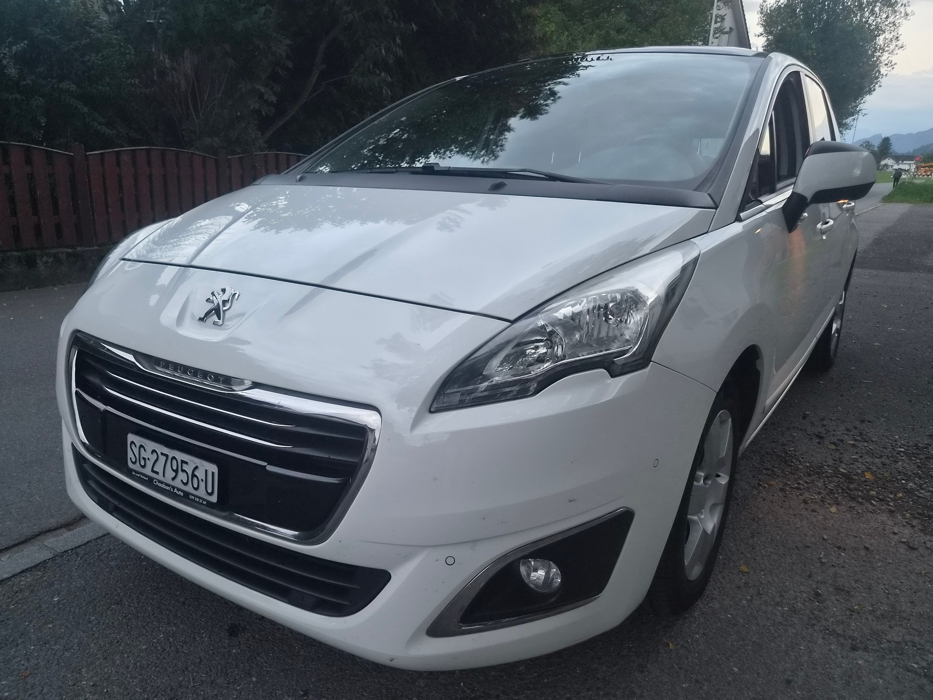 PEUGEOT 5008 2.0 HDI Business-image-2