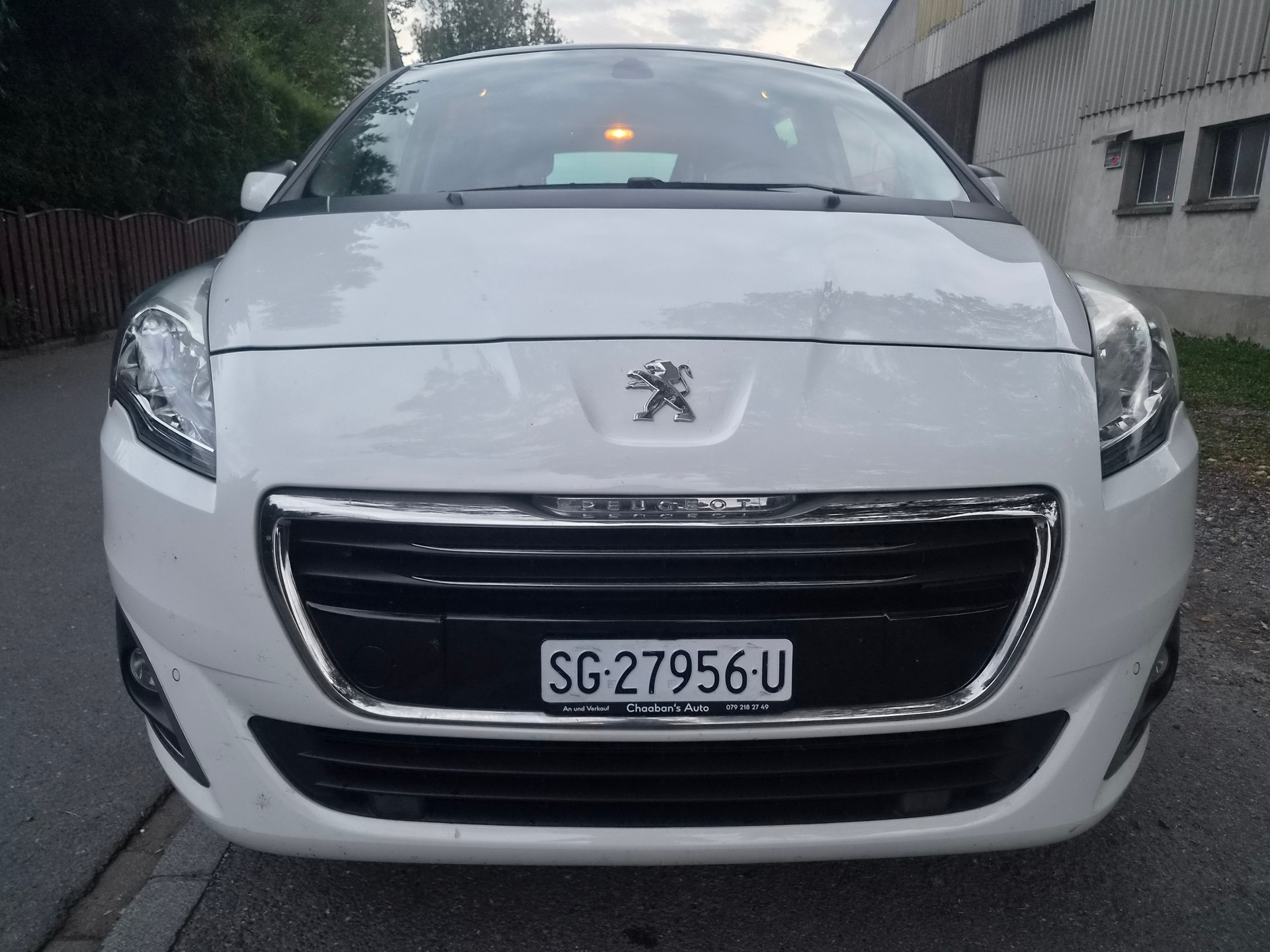 PEUGEOT 5008 2.0 HDI Business-image-3