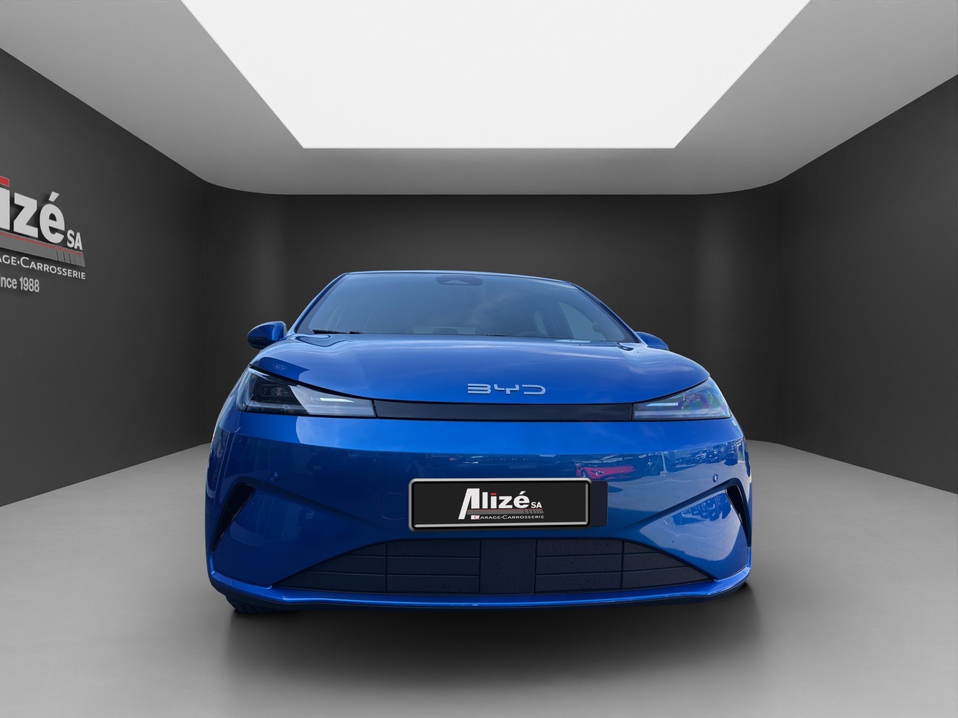 BYD Dolphin G DM-i Boost-image-1