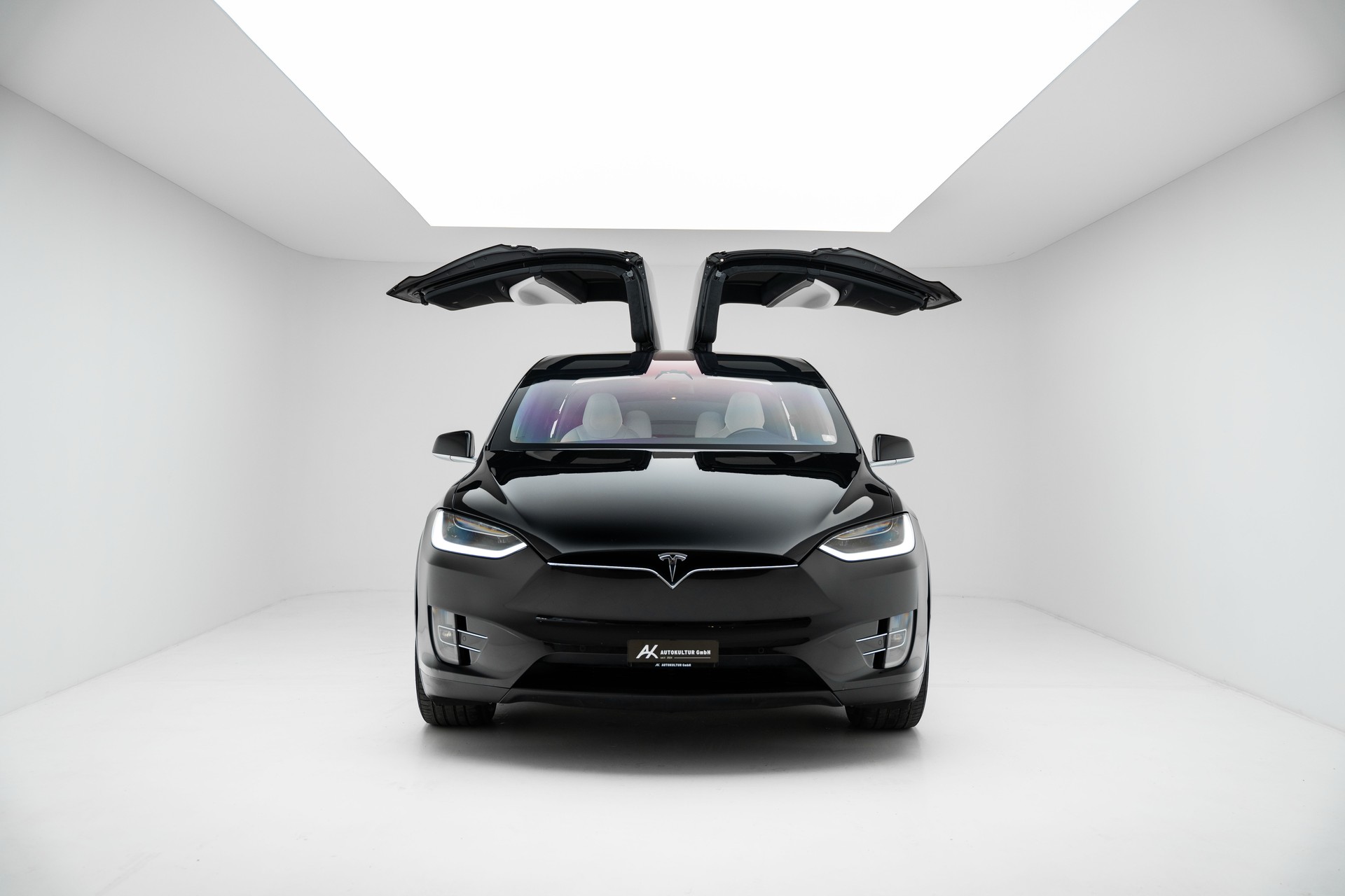 TESLA Model X 100 D-image-1