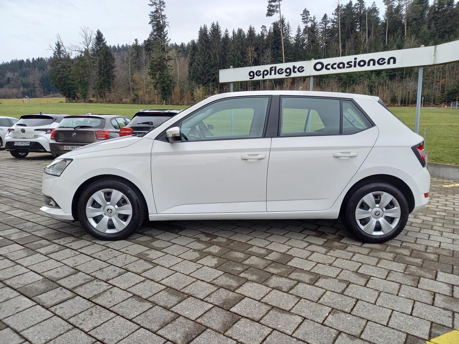 SKODA Fabia 1.0 TSI Ambition DSG-image-2