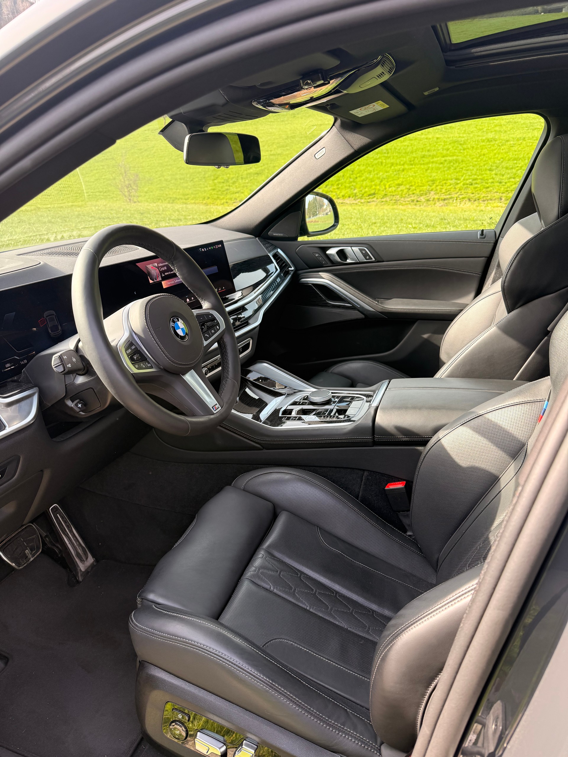 BMW X6 xDrive 48V 40i M Sport Pro Steptronic-image-8