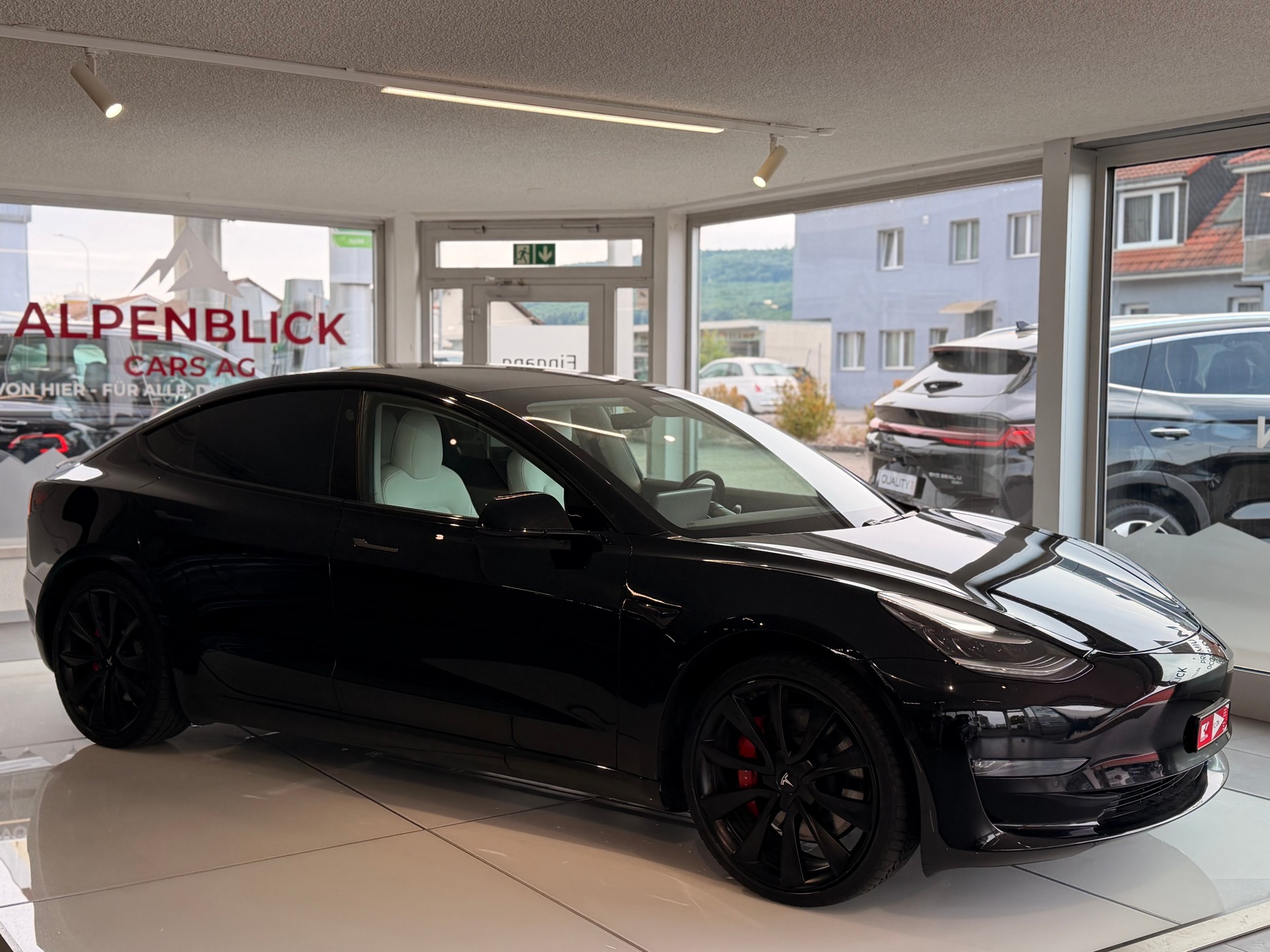 TESLA Model 3 Performance Dual Motor AWD-image-6