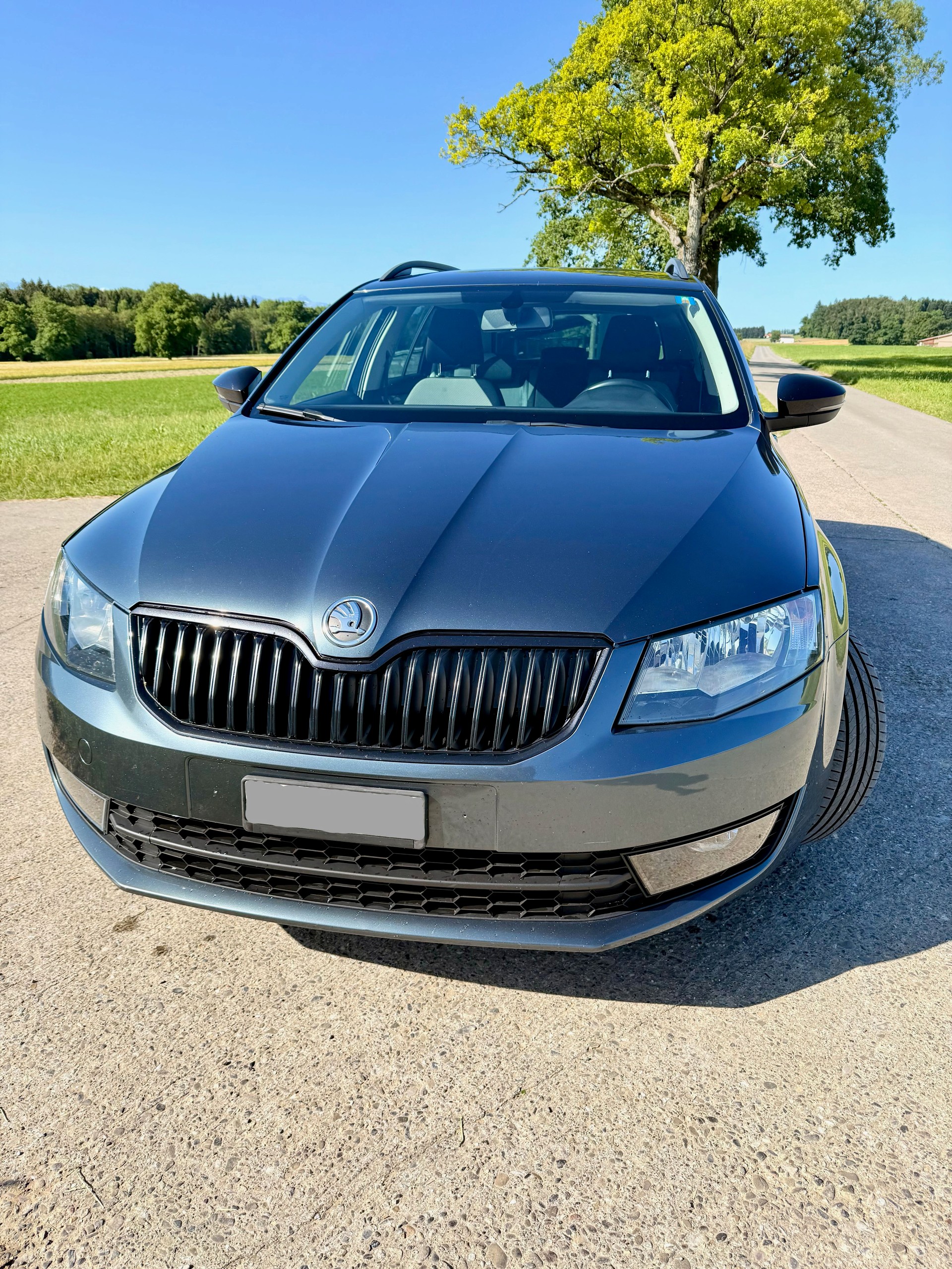 SKODA Combi-image-1