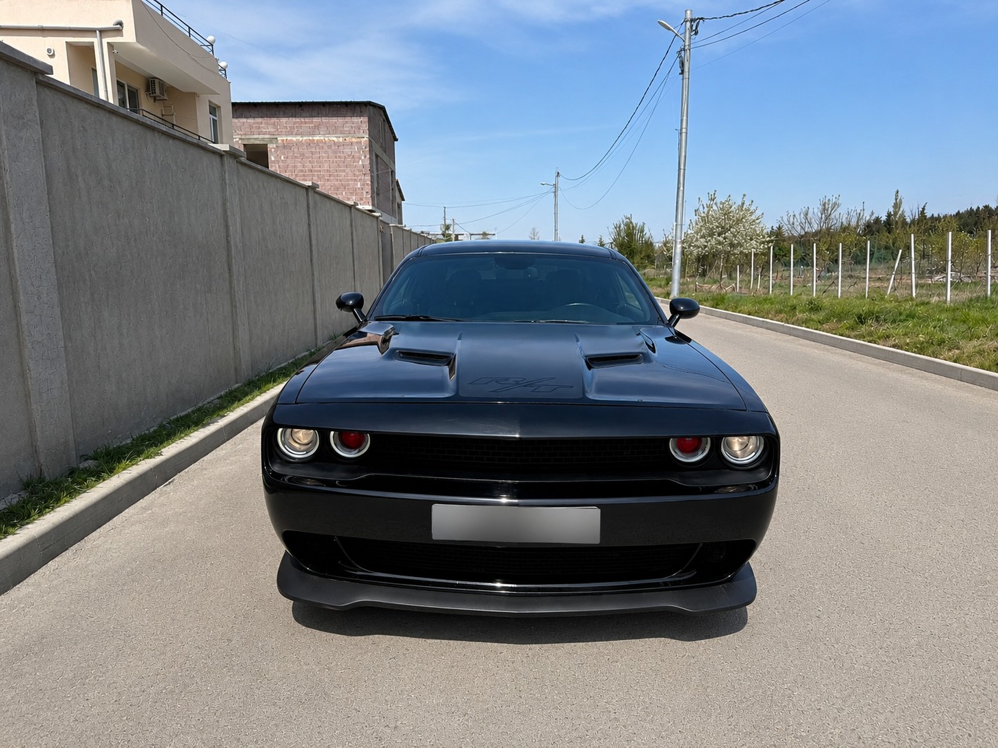DODGE Challenger-image-2