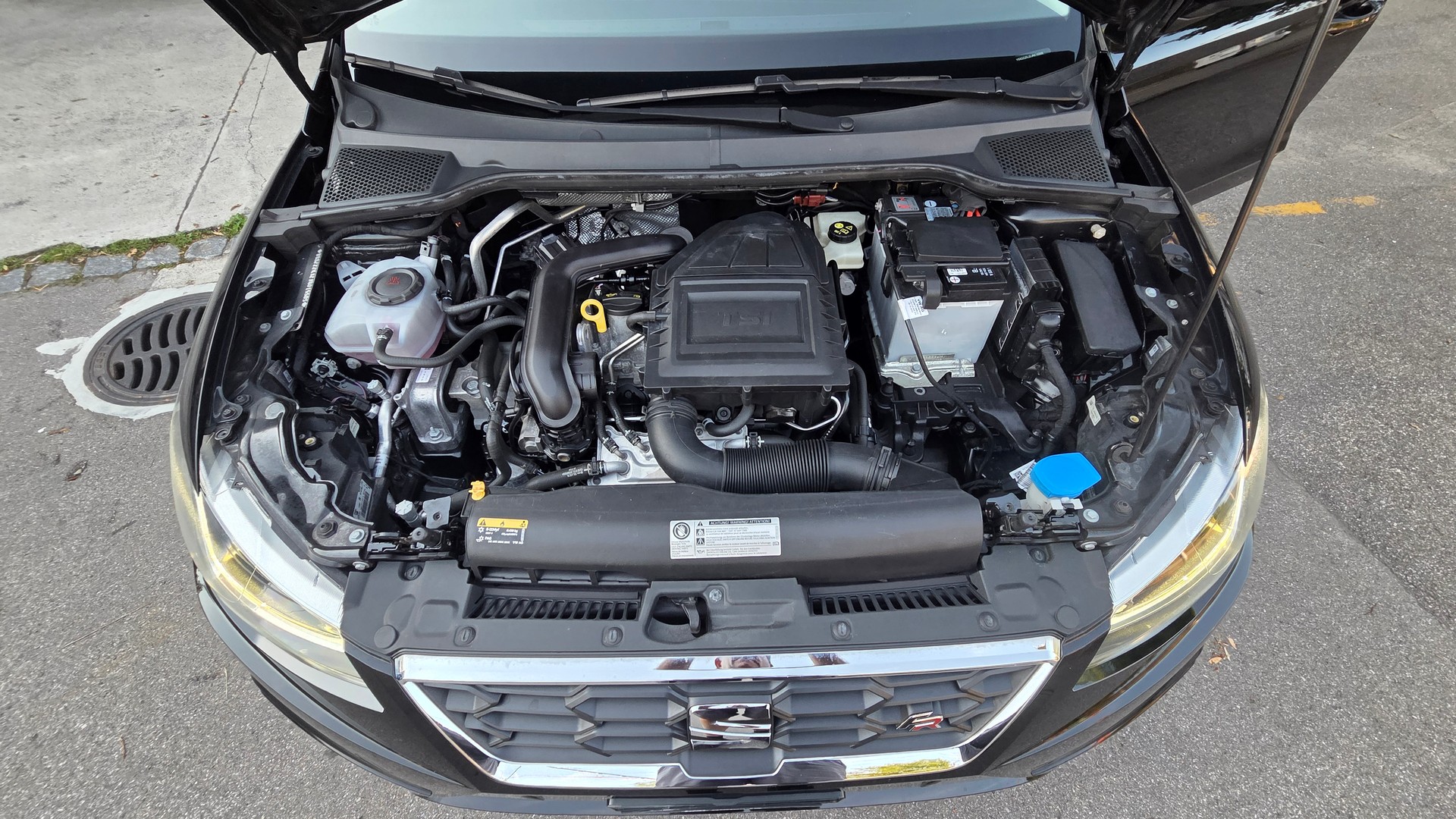 SEAT Ibiza 1.0 EcoTSI Swiss FR-image-15