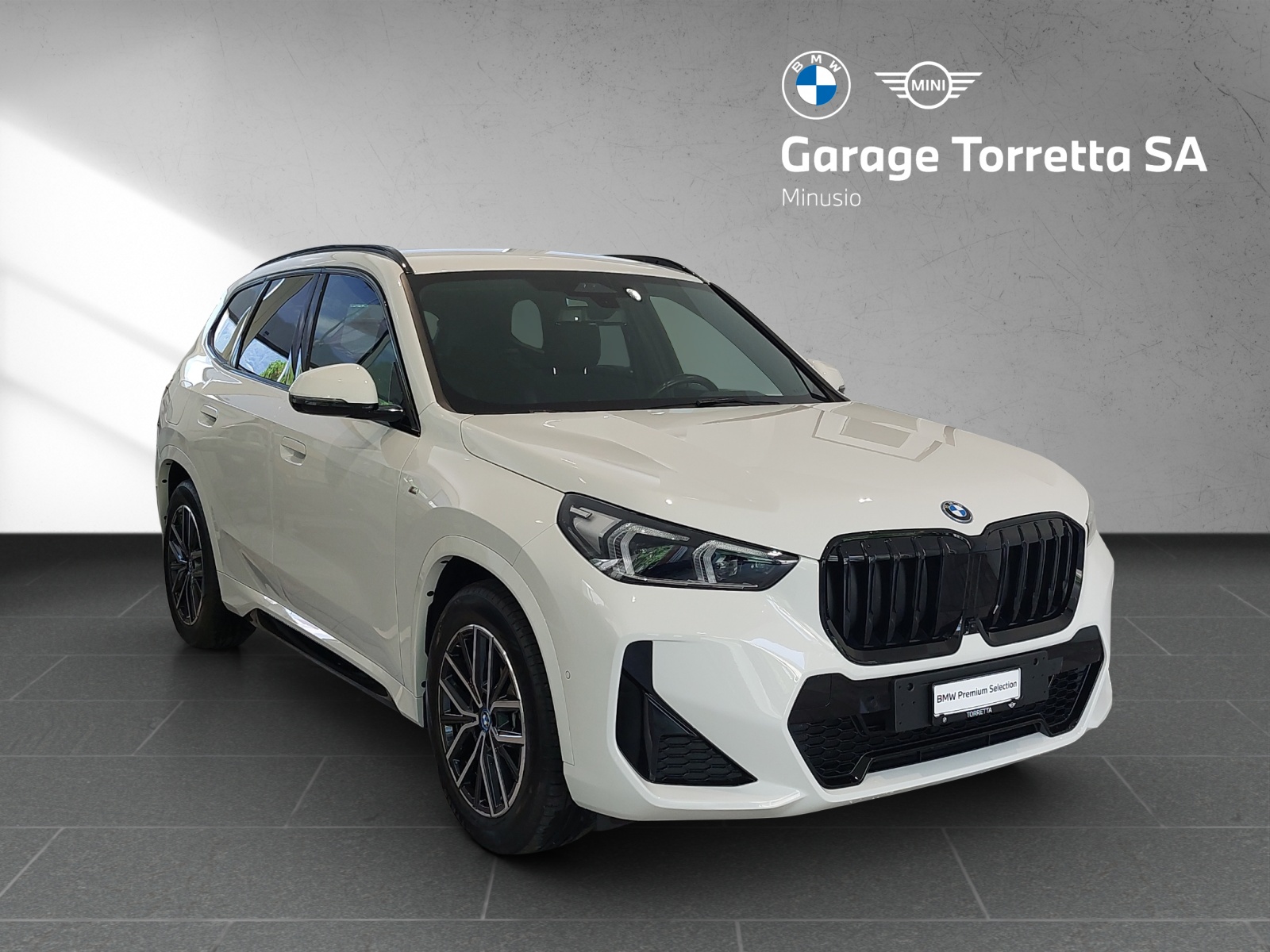 BMW X1 xDrive 25e M Sport-image-6