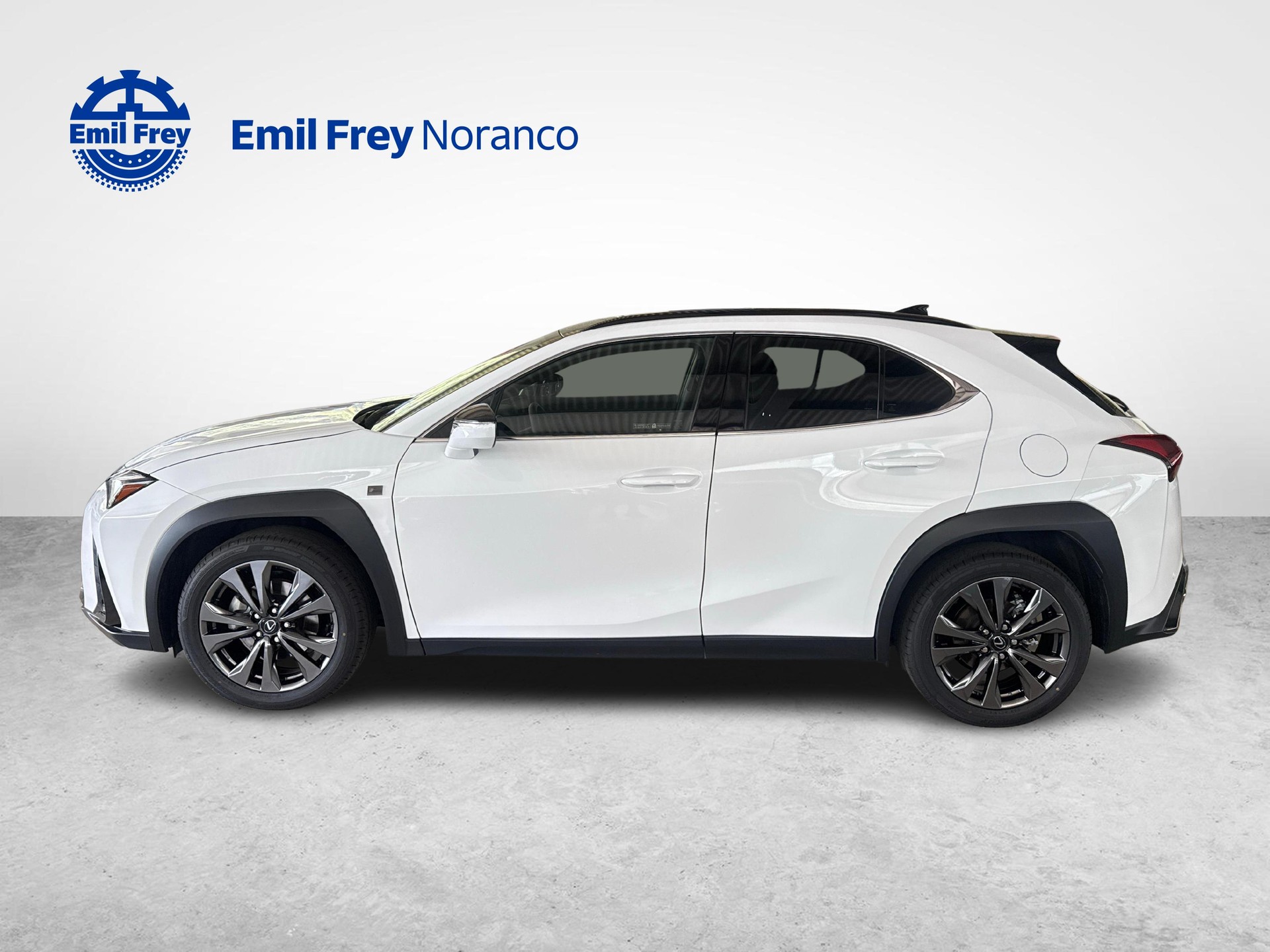 LEXUS UX 300h F-Line - Ruote invernali incluse-image-1