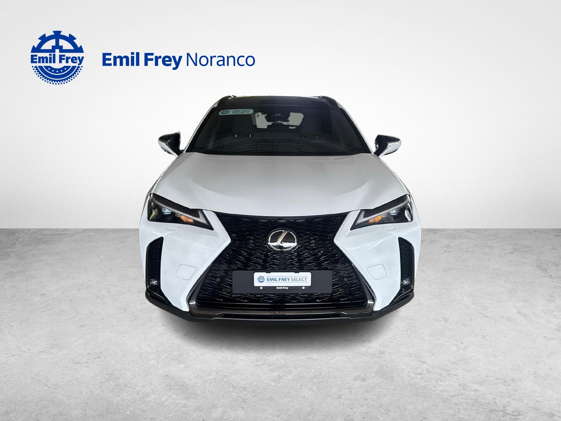 LEXUS UX 300h F-Line - Ruote invernali incluse-image-7