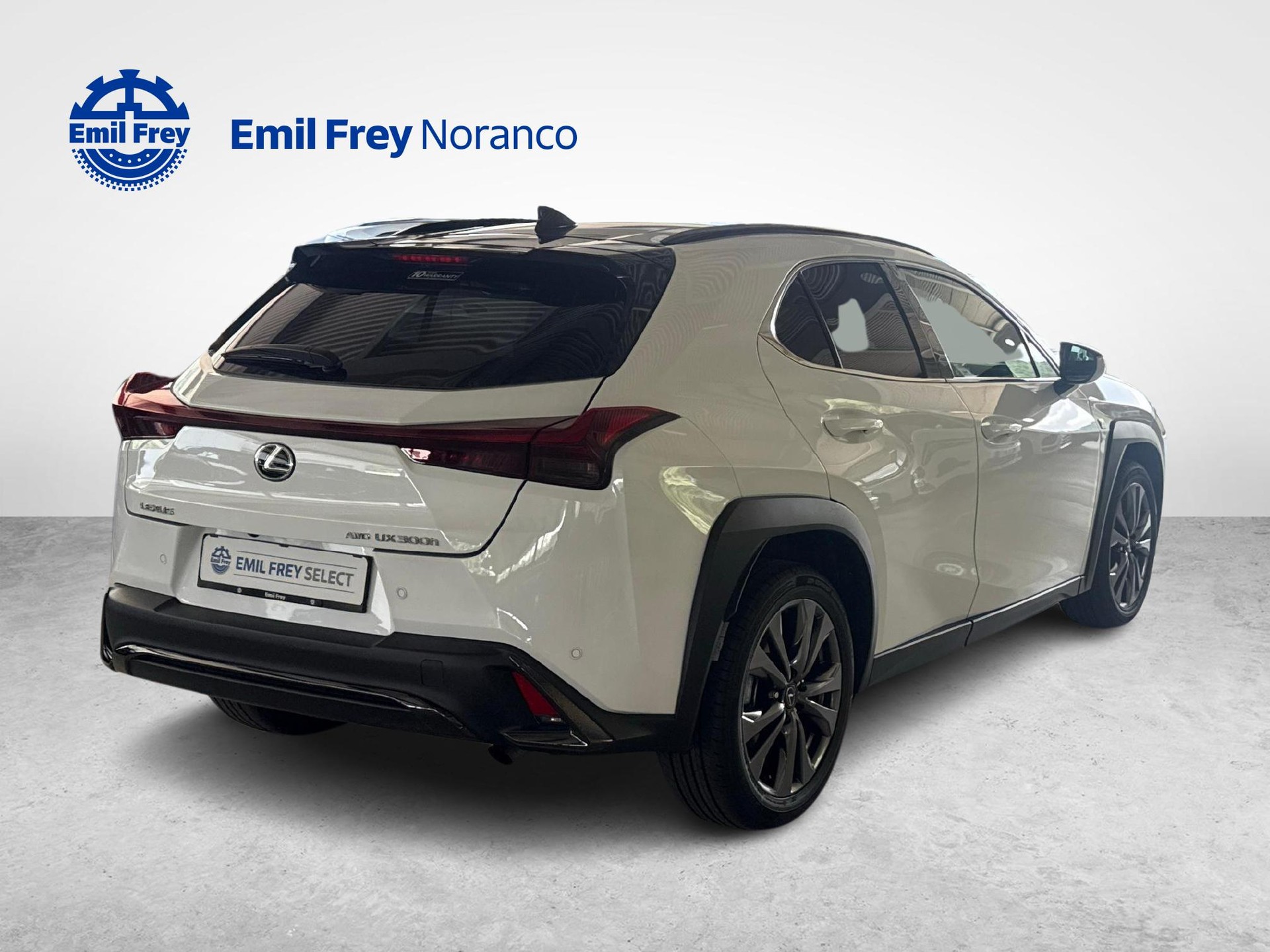LEXUS UX 300h F-Line - Ruote invernali incluse-image-4