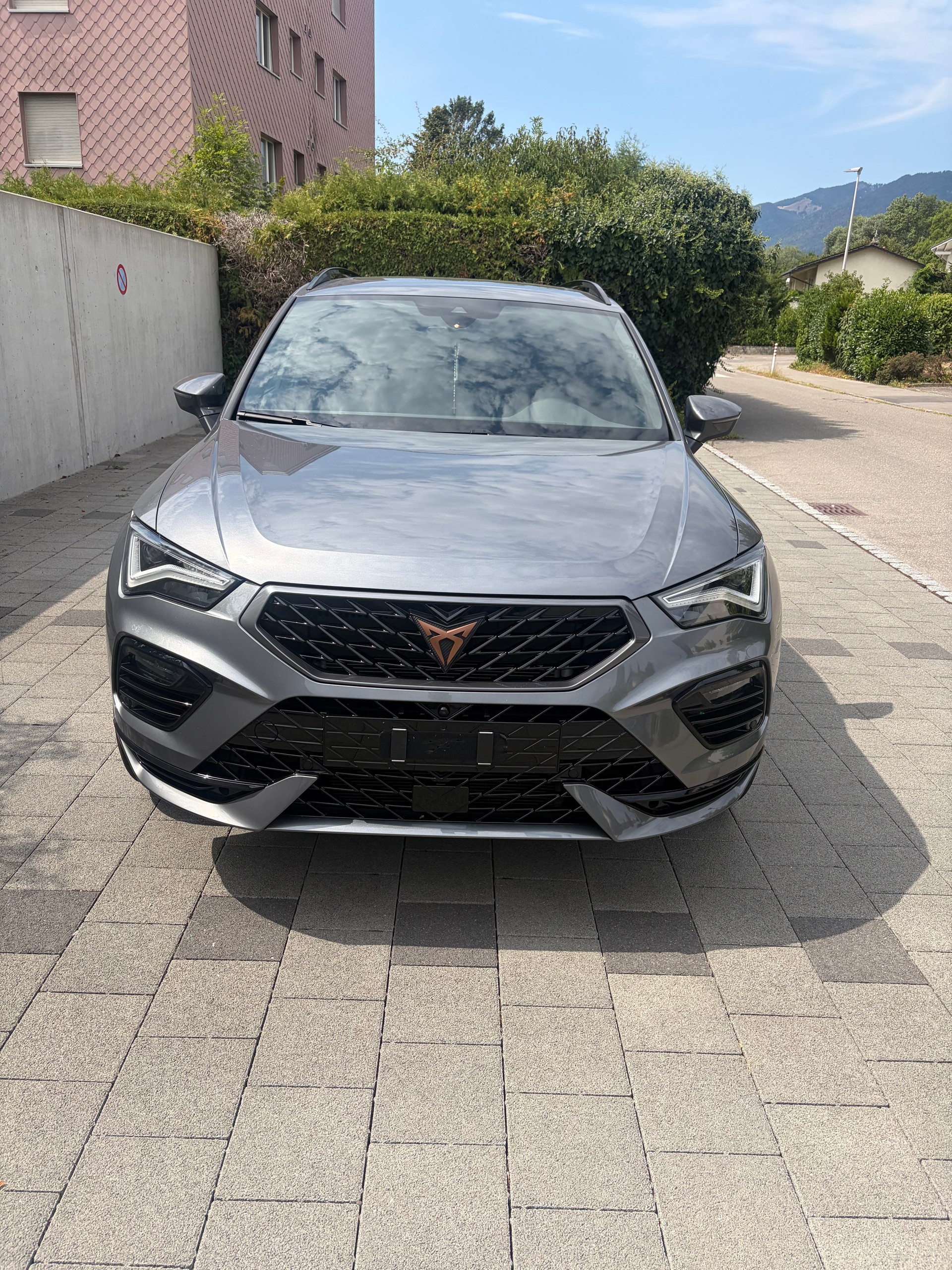 CUPRA Cupra Ateca 2.0 tsi