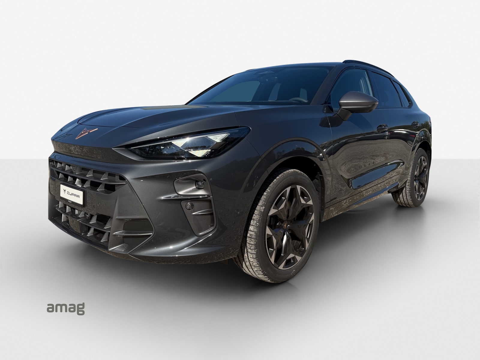 CUPRA Terramar 2.0 TSI DSG 4Drive VZ-image-0