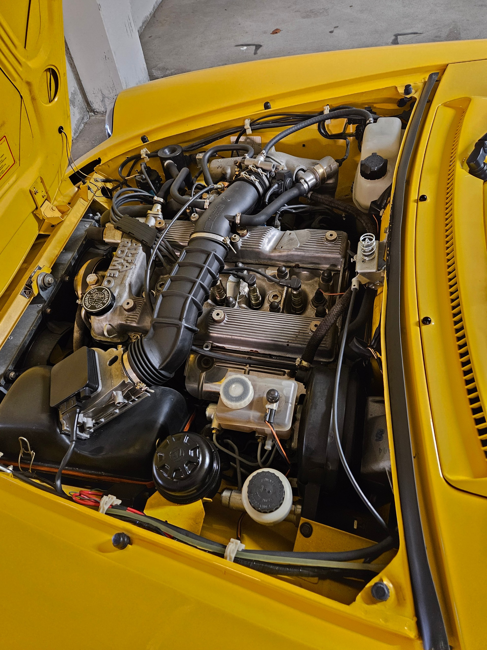 ALFA ROMEO 2.0 Q.Verde-image-5