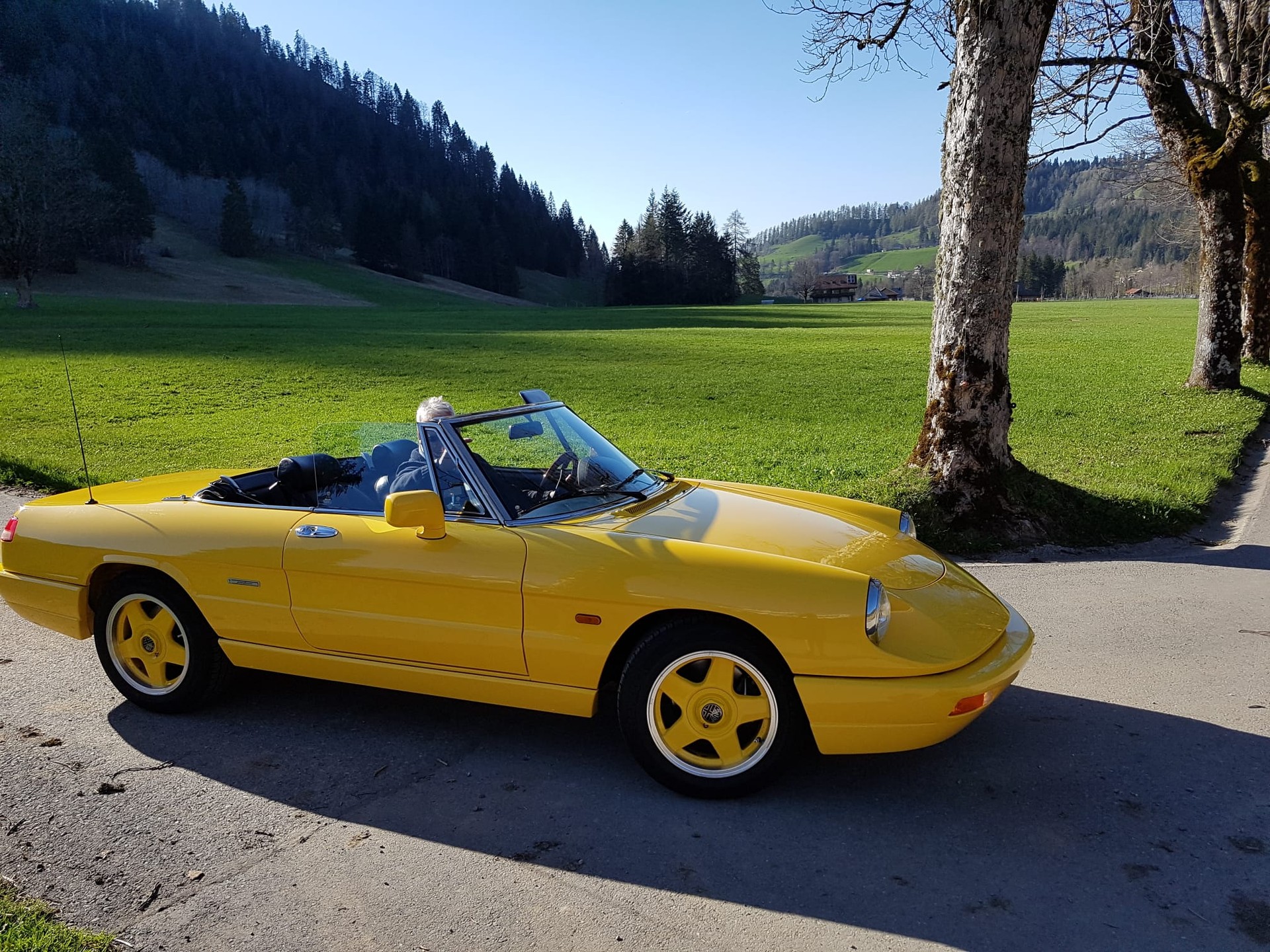 ALFA ROMEO 2.0 Q.Verde-image-4