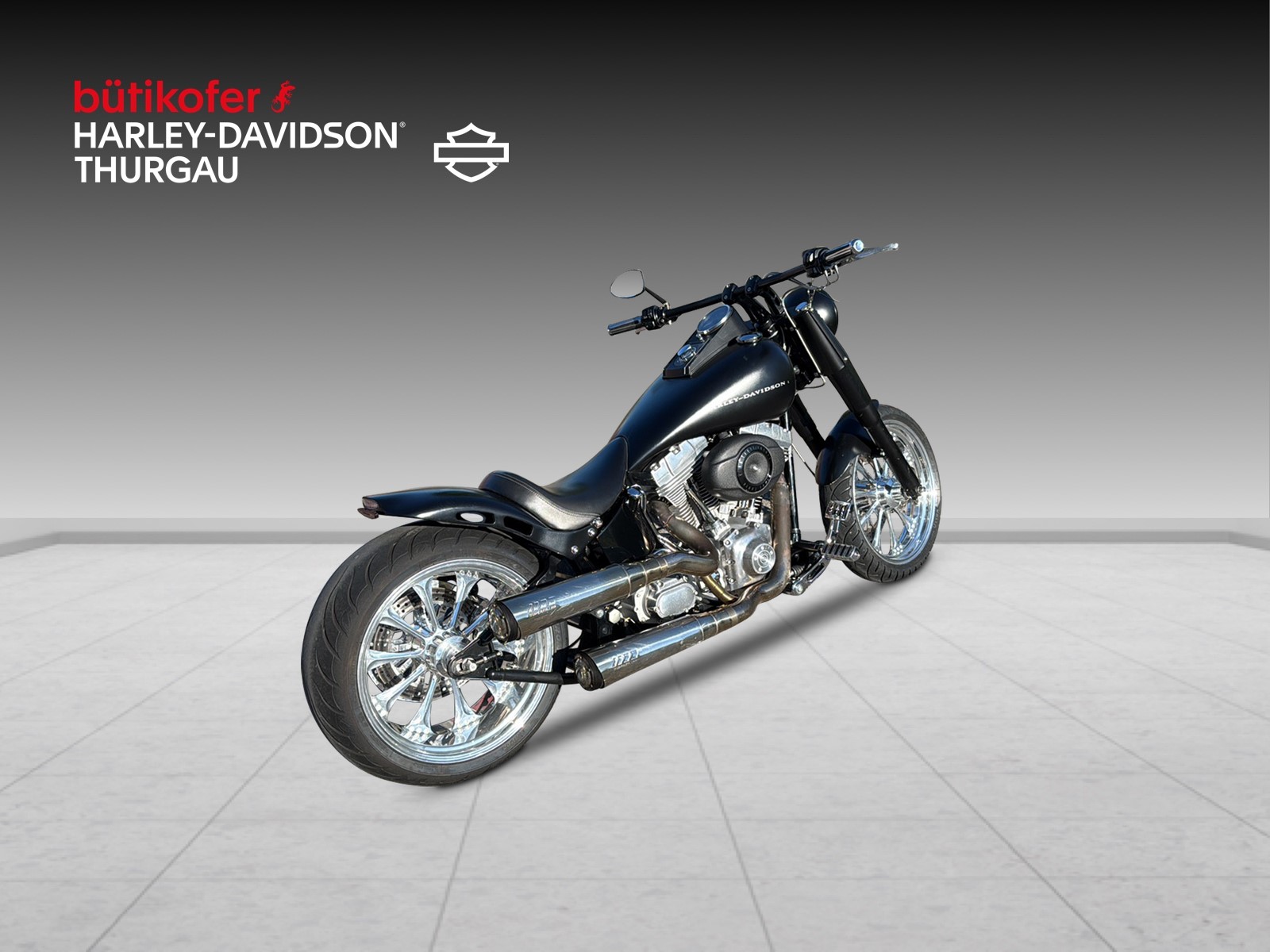 HARLEY-DAVIDSON FLSTI Softail Heritage-showroom-element-2