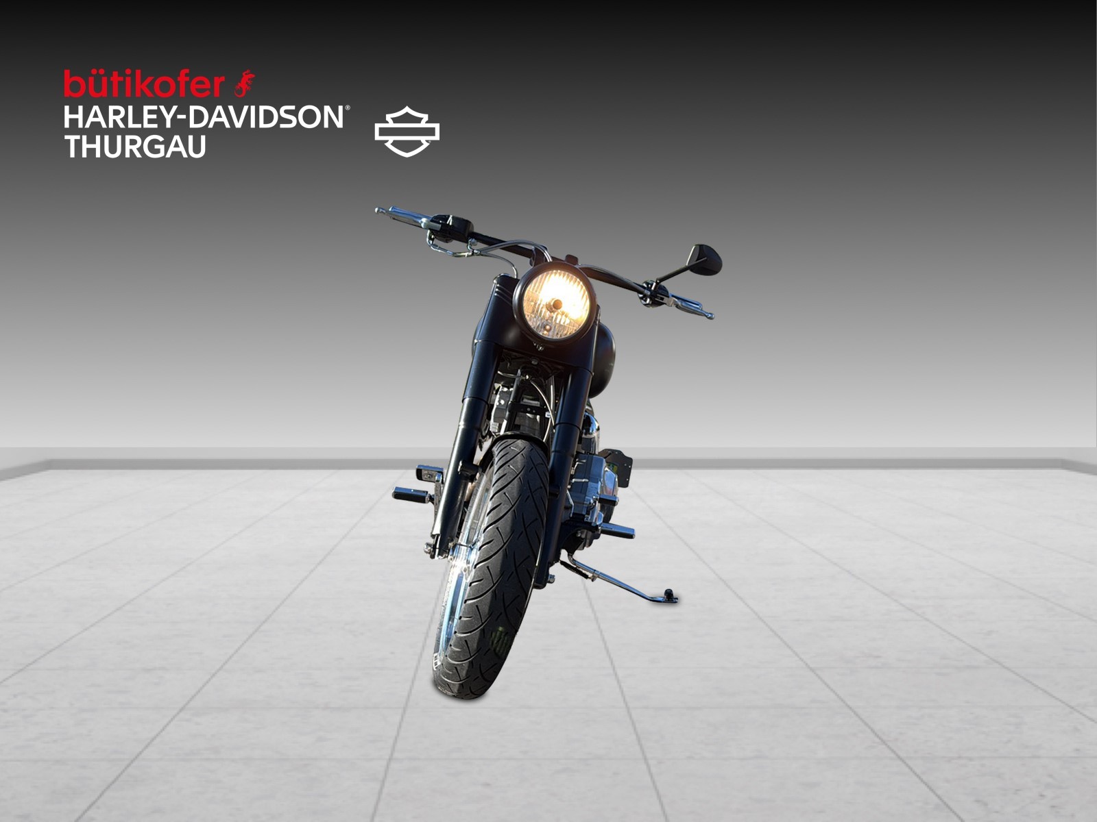HARLEY-DAVIDSON FLSTI Softail Heritage-image-6