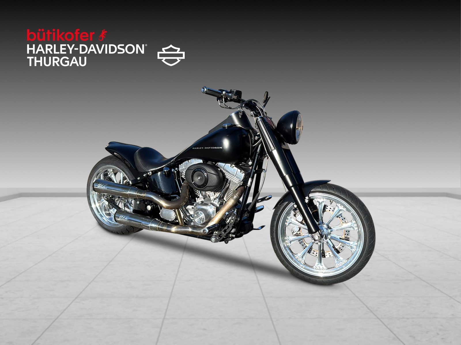 HARLEY-DAVIDSON FLSTI Softail Heritage