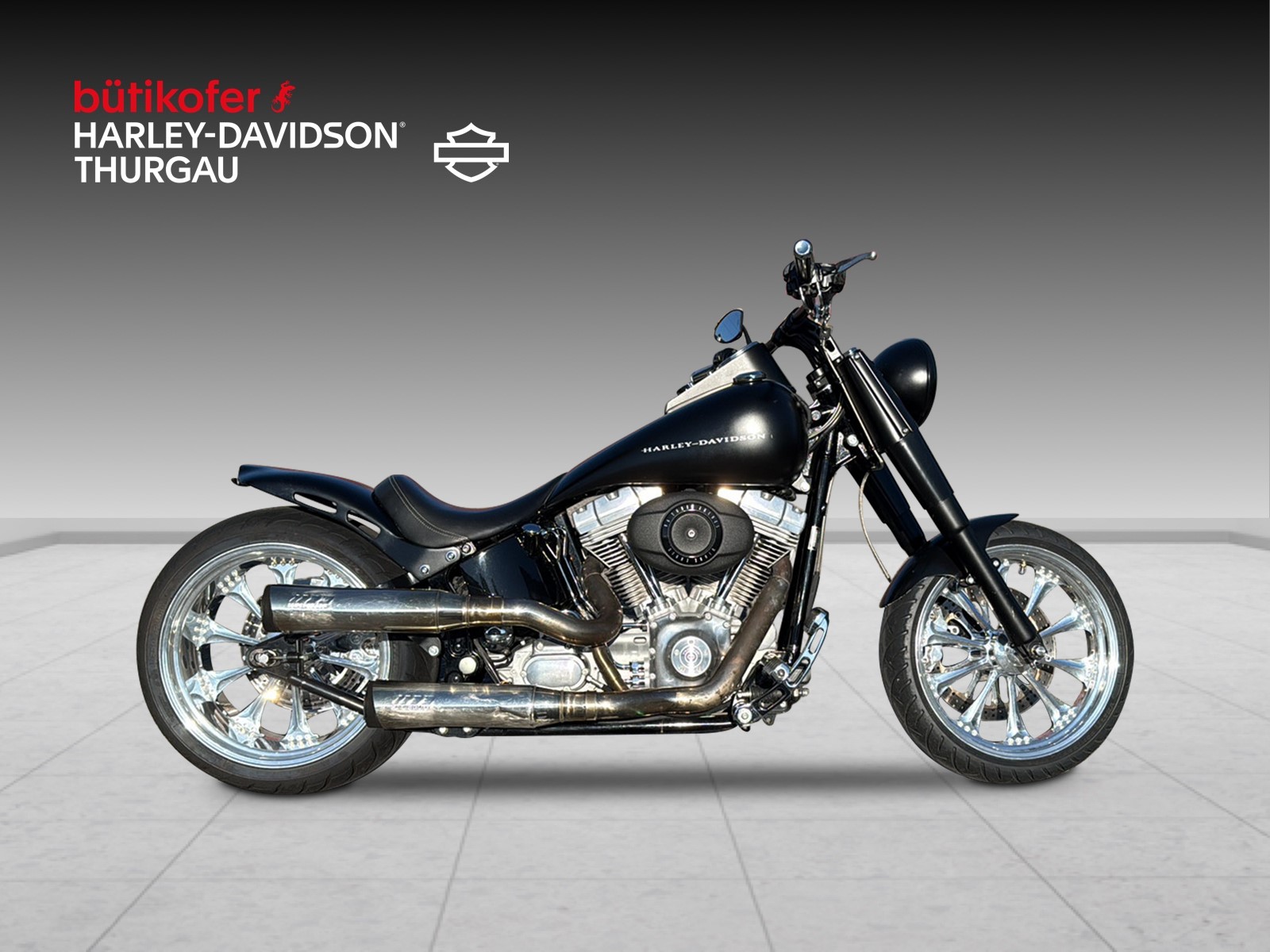 HARLEY-DAVIDSON FLSTI Softail Heritage-showroom-element-1