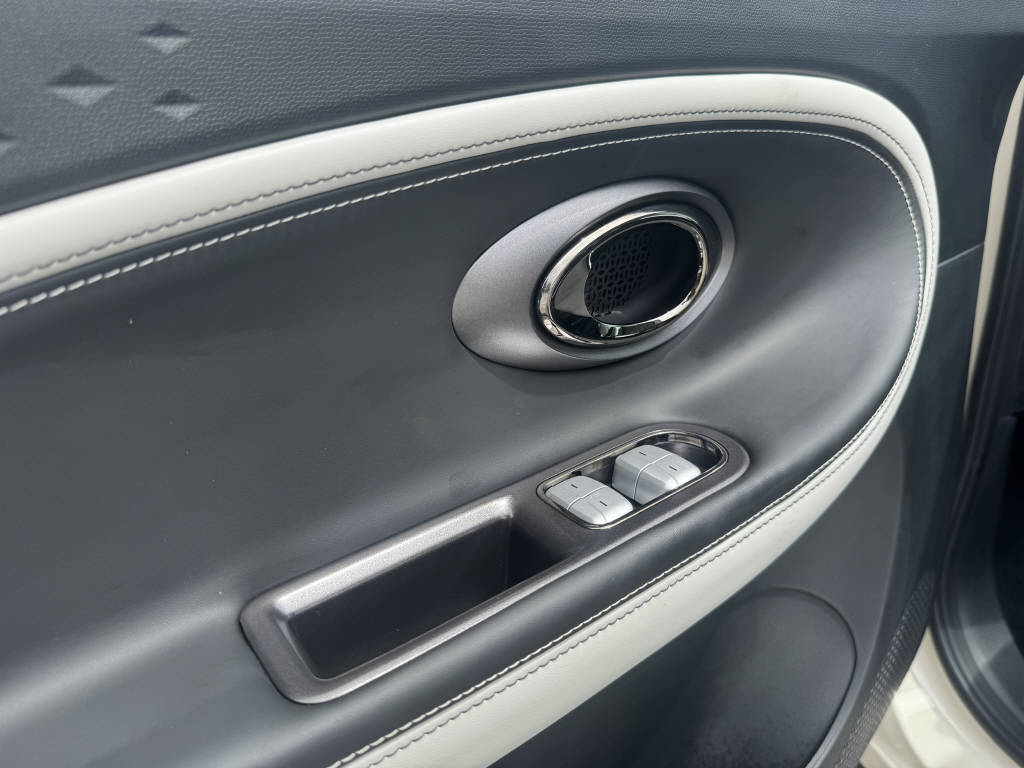 JAC E30X Electric-image-12