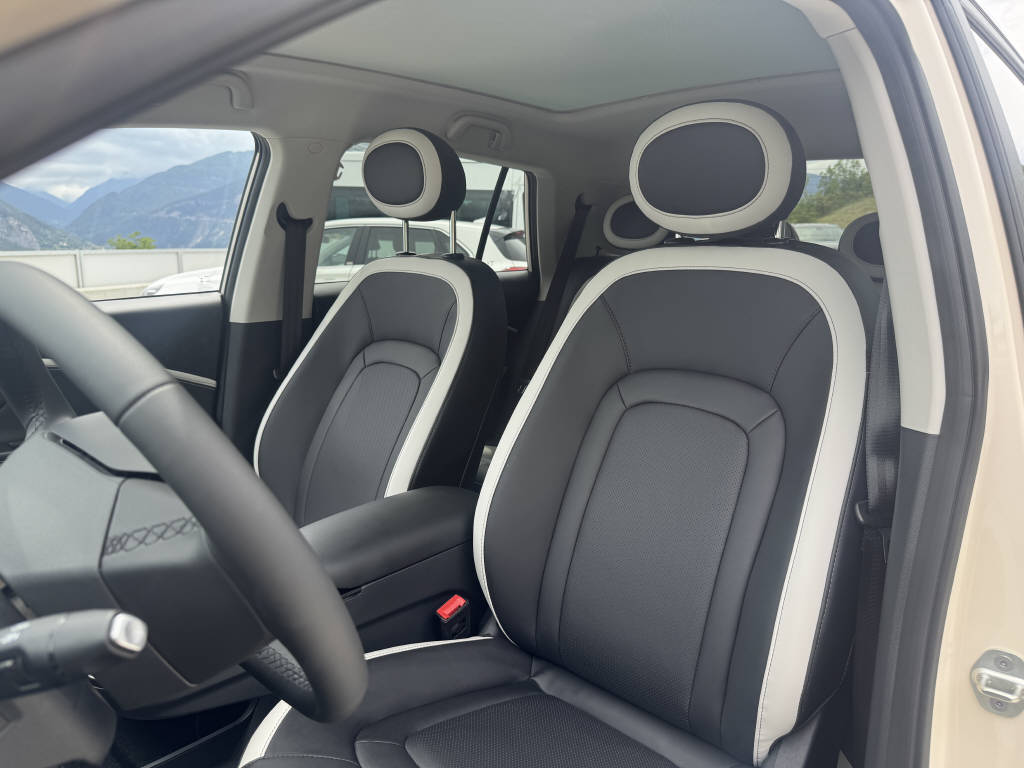 JAC E30X Electric-image-6