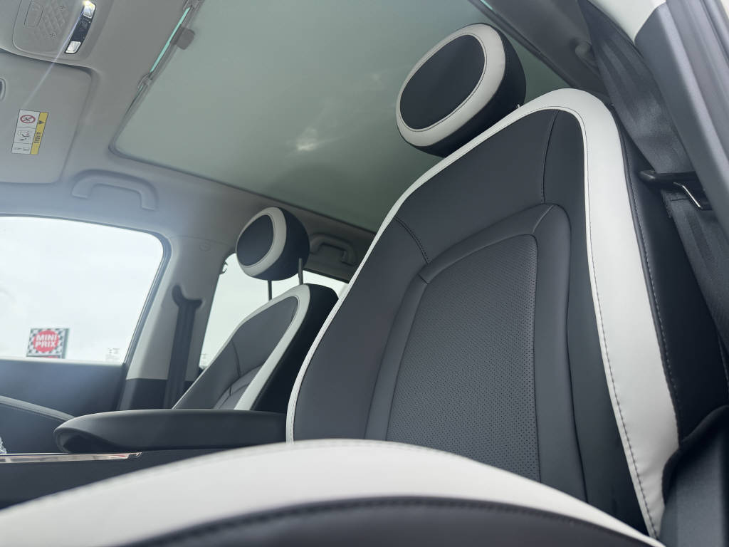 JAC E30X Electric-image-9
