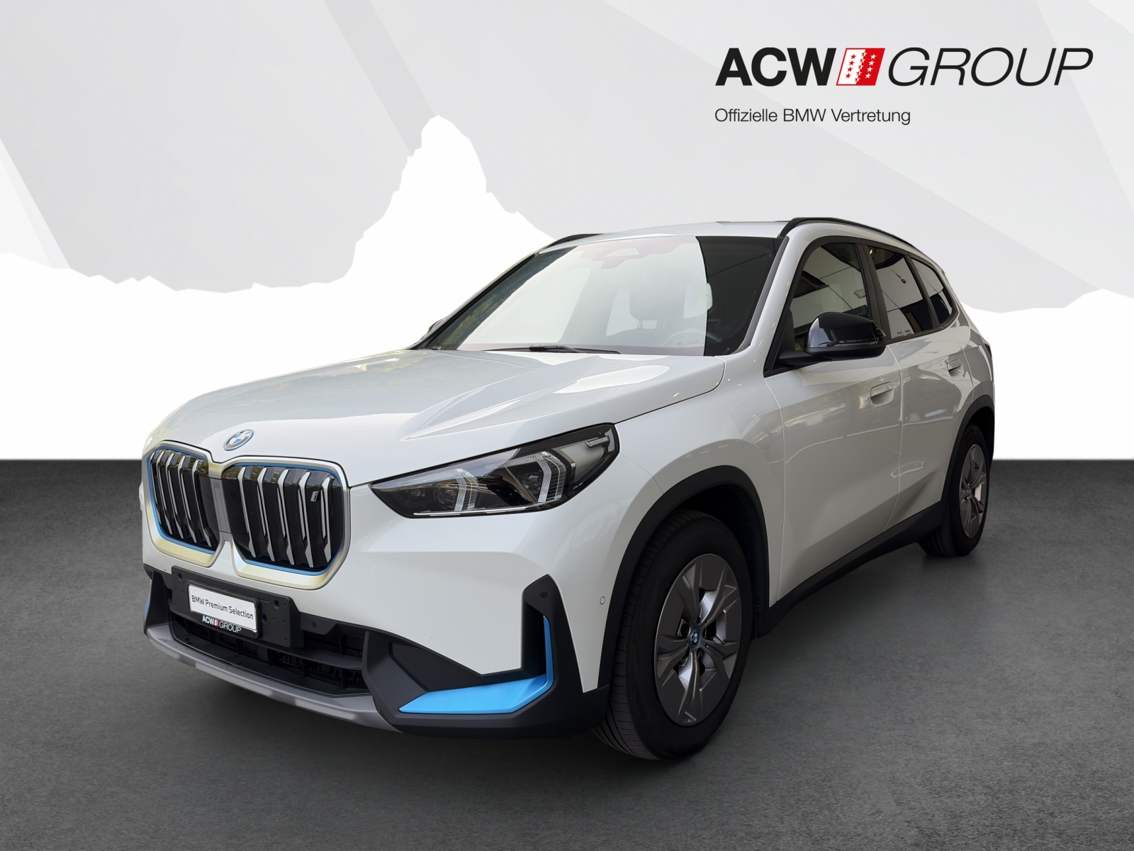 BMW iX1 xDrive30-image-0