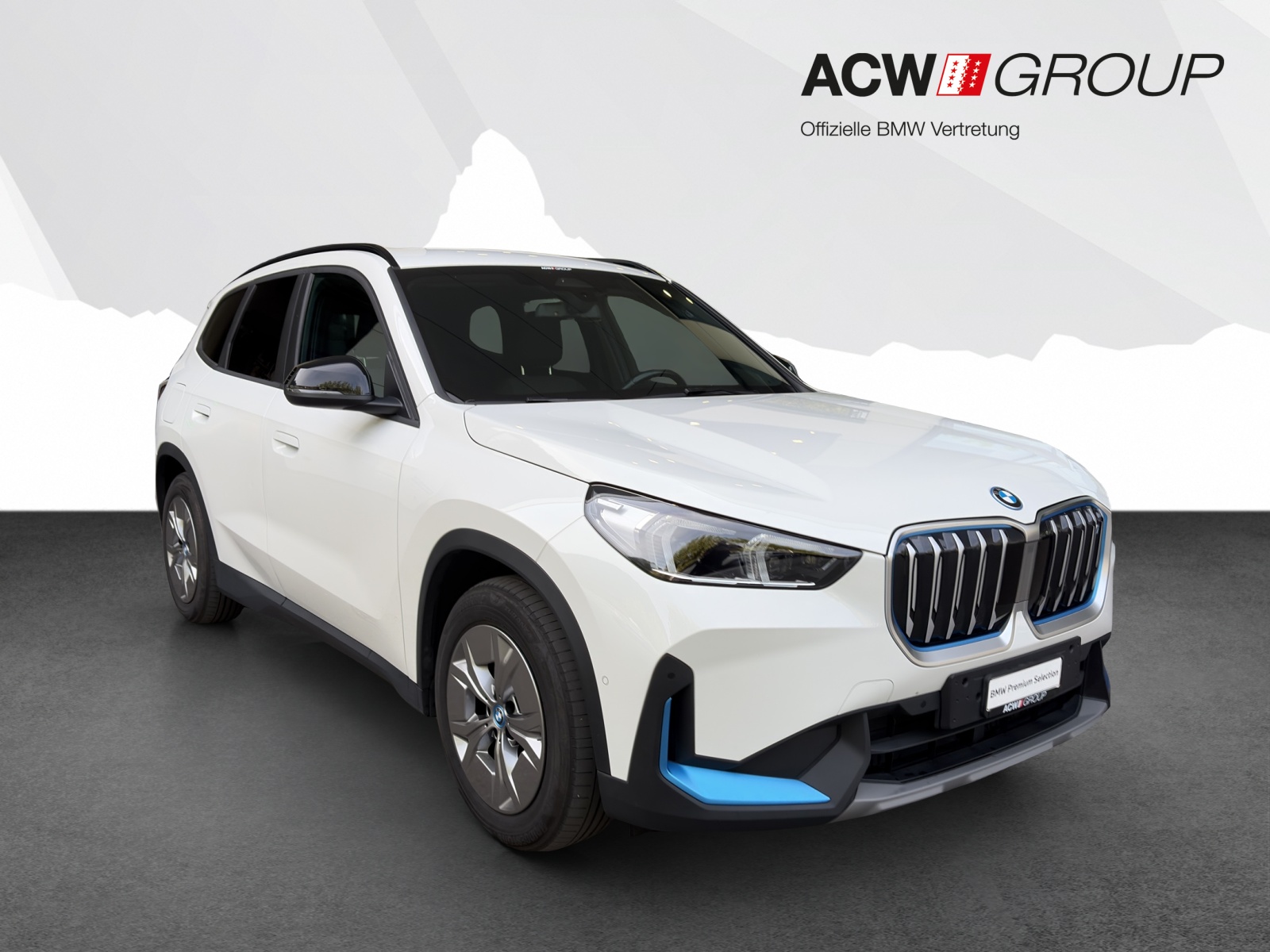 BMW iX1 xDrive30-image-6