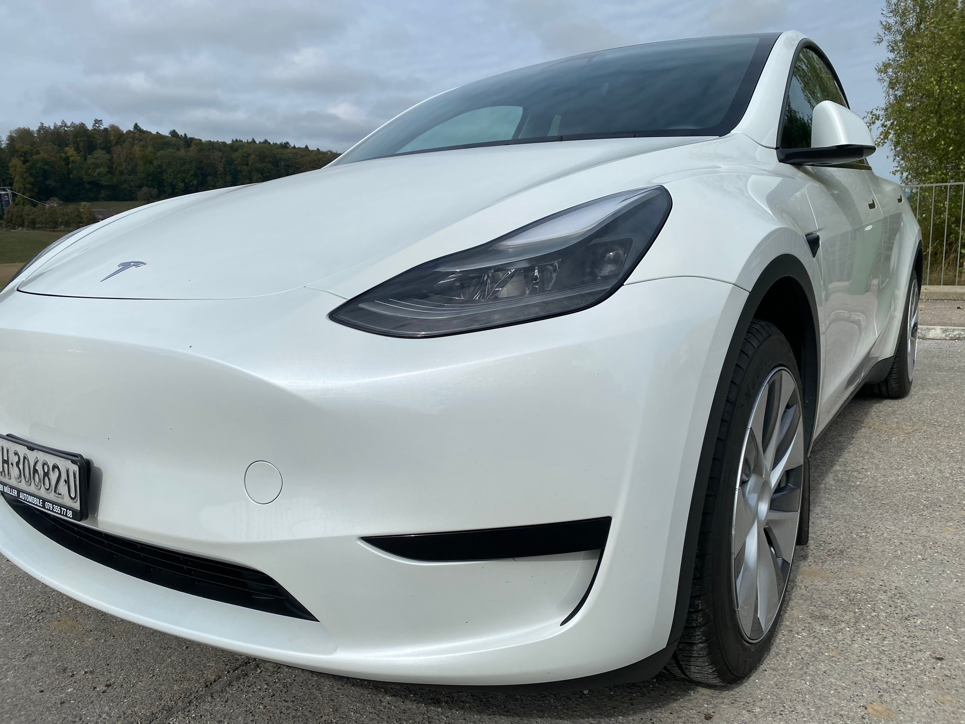 TESLA MODEL Y-image-1