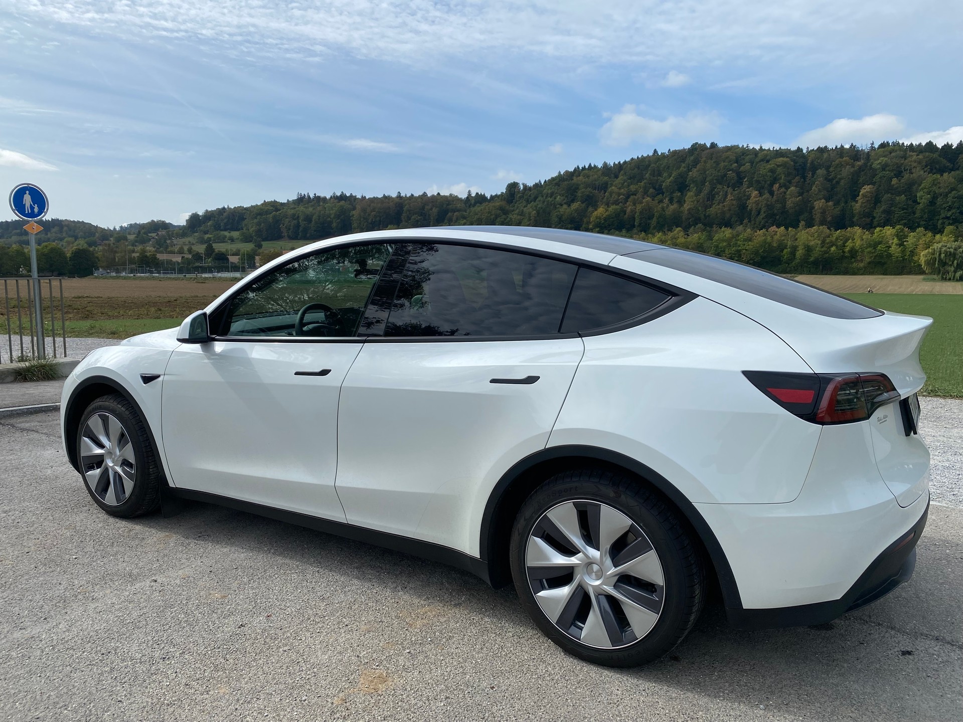 TESLA MODEL Y-image-6