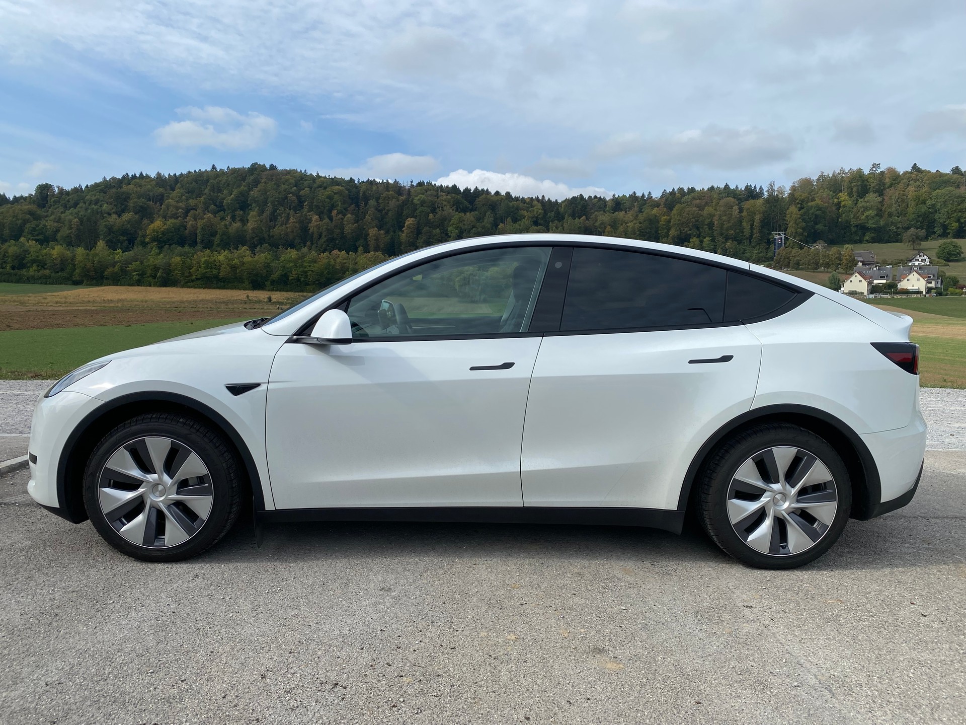 TESLA MODEL Y-image-3