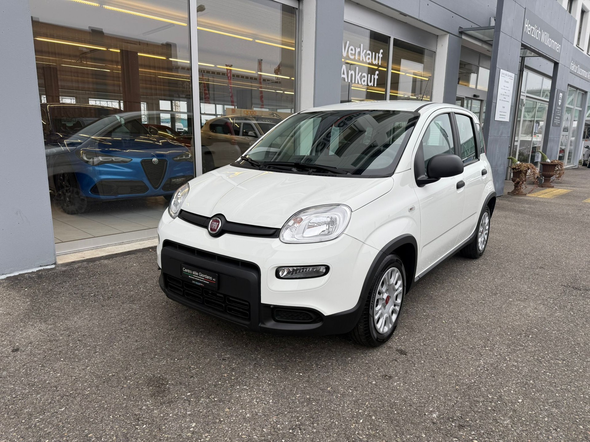 FIAT Panda 1.0 MHEV Cult-image-3