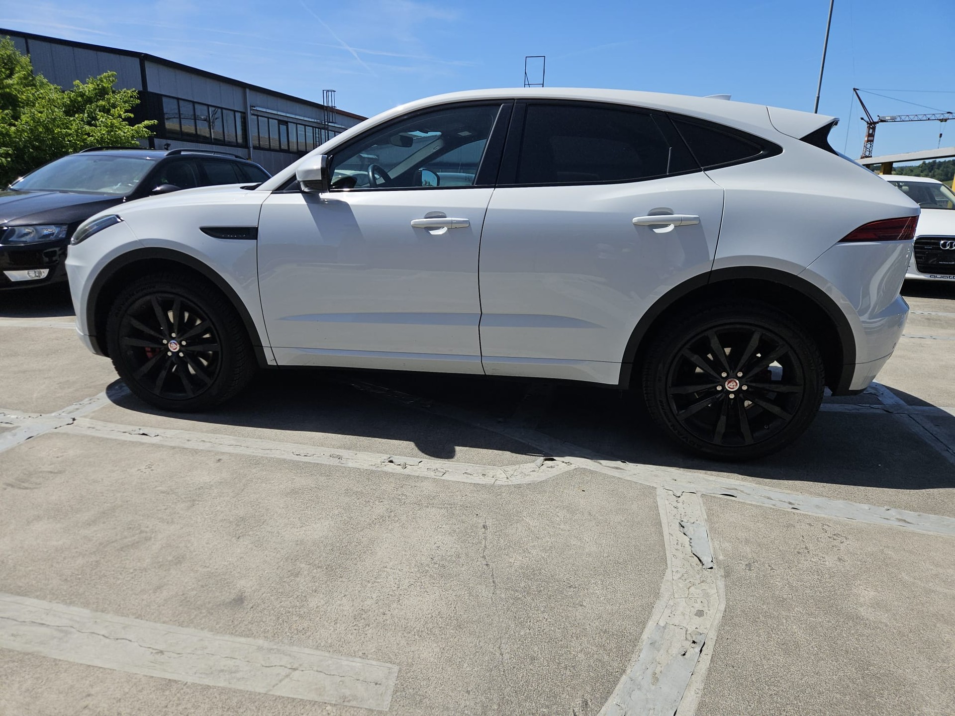 JAGUAR E-Pace 2.0 P250 S AWD Automatik-showroom-element-1