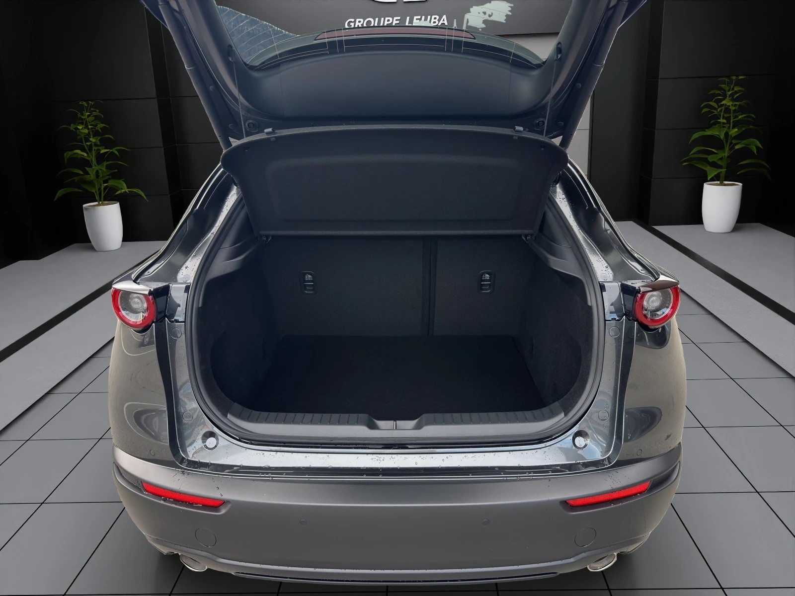 Image MAZDA CX-30 CX-30 SKYACTIV-X 186 M Hybrid Homura AWD AT