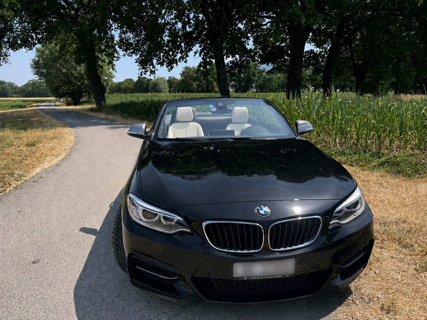 BMW M235i xDrive-image-3
