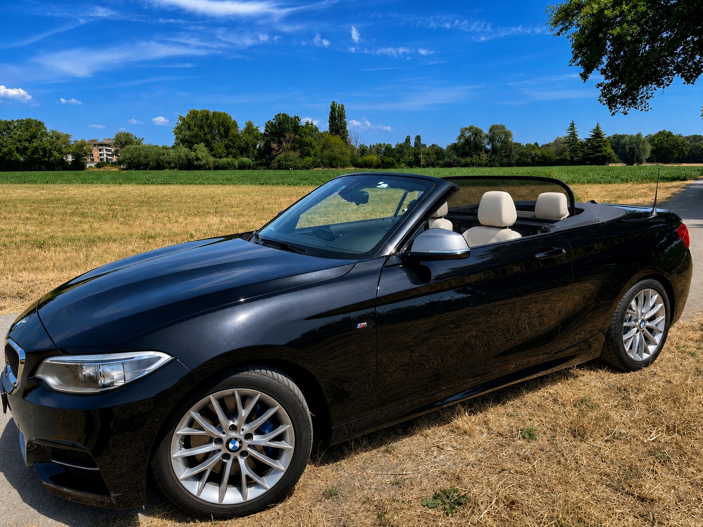 BMW M235i xDrive-image-0