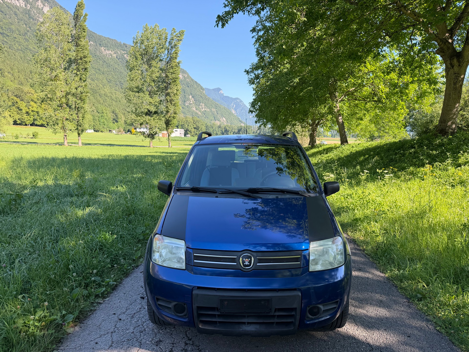 FIAT Panda 1.2 4x4 (Trekking)-image-1